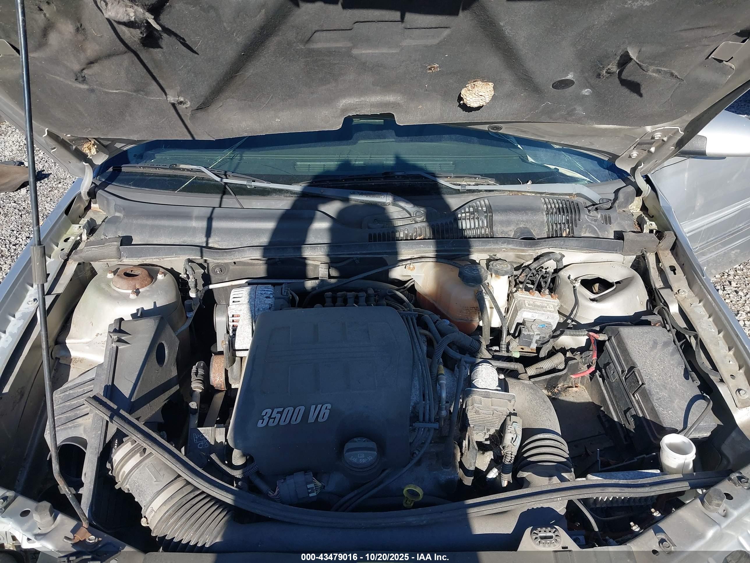 CHEVROLET MALIBU image 10