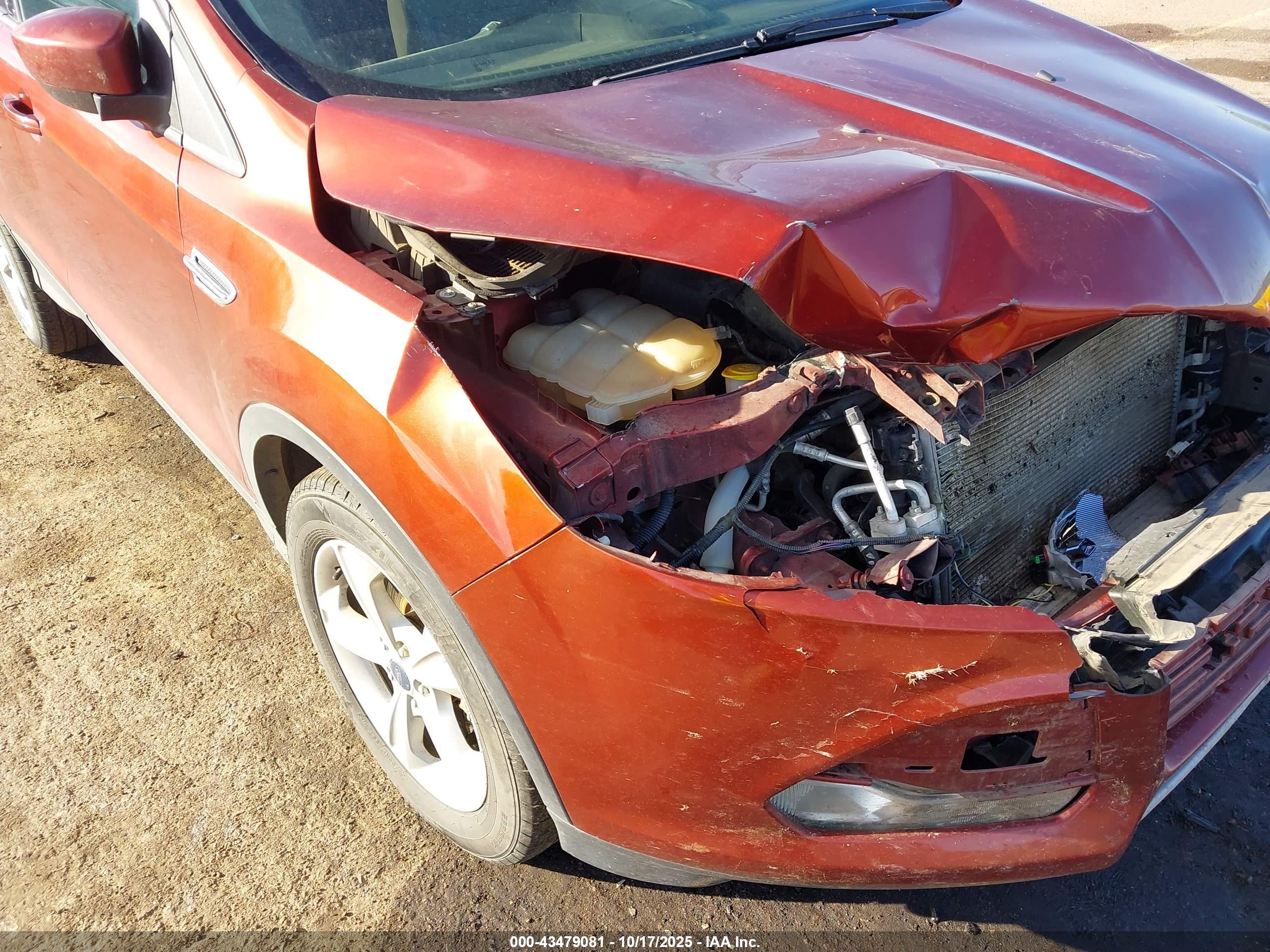 FORD ESCAPE image 6
