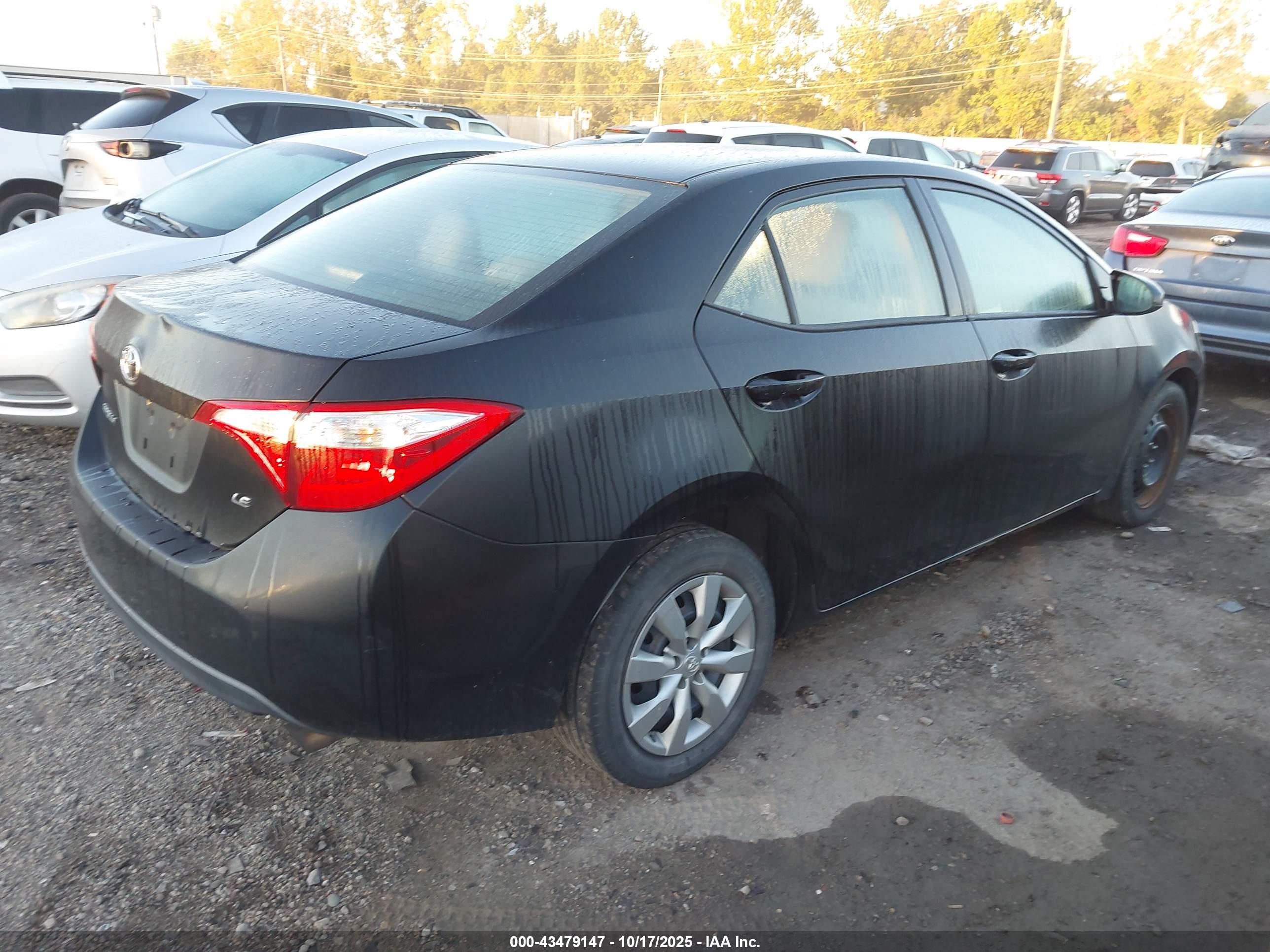 TOYOTA COROLLA image 4