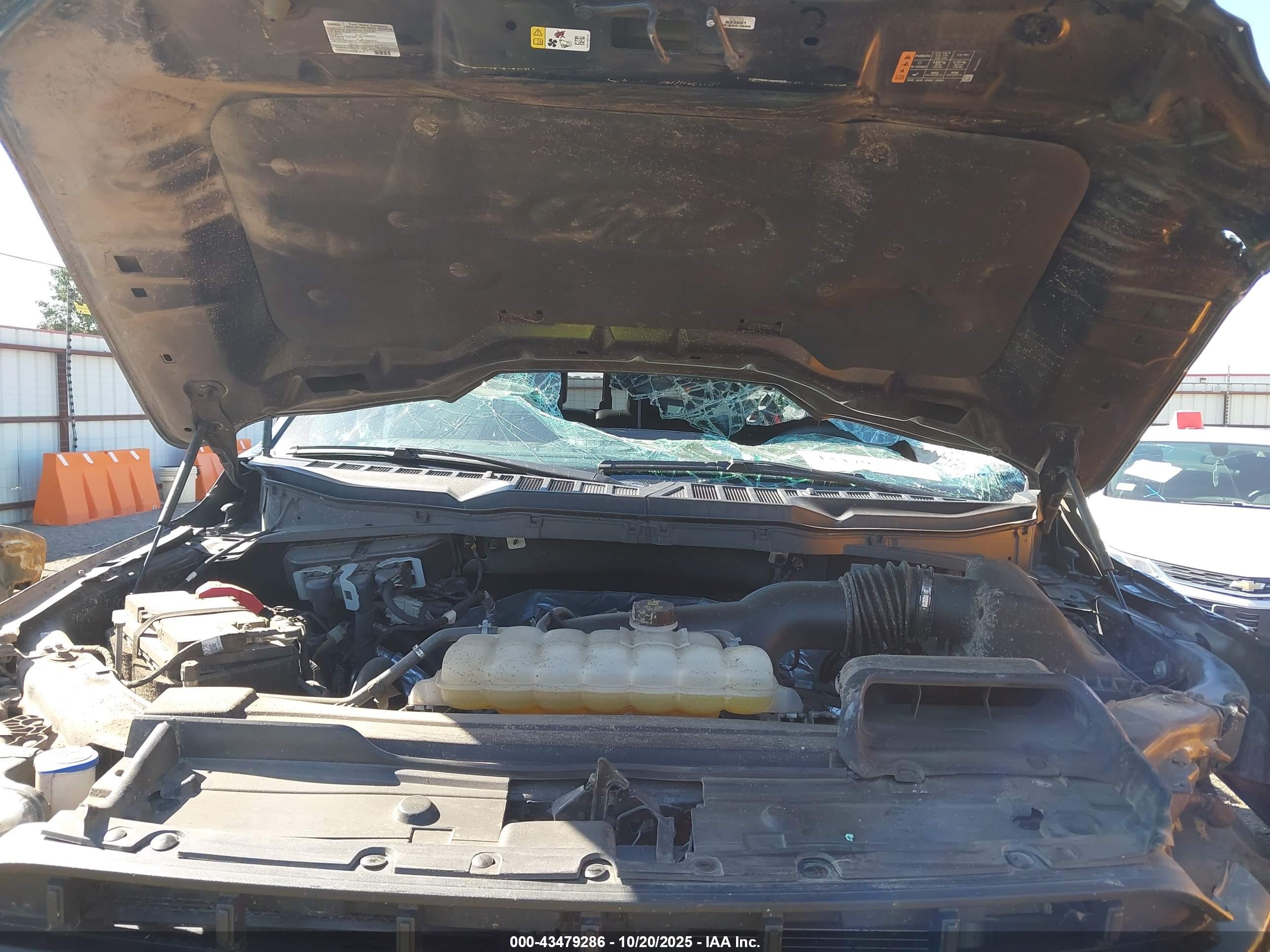 FORD F-150 image 10