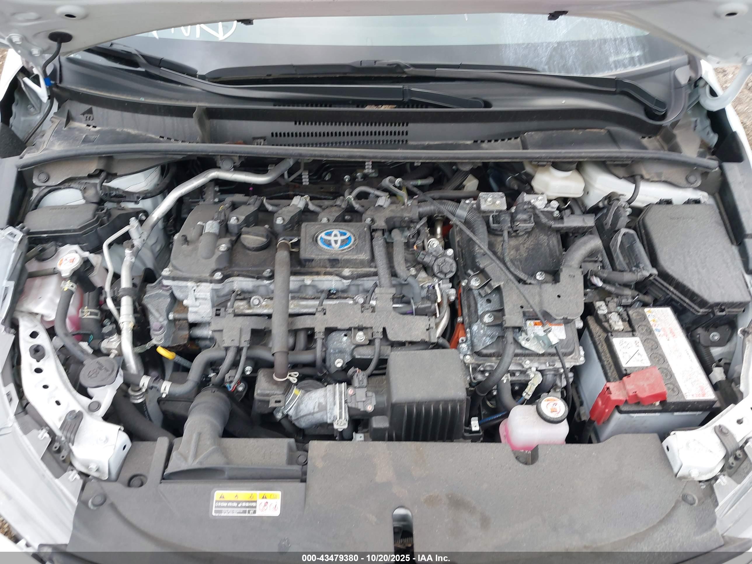 TOYOTA COROLLA image 10