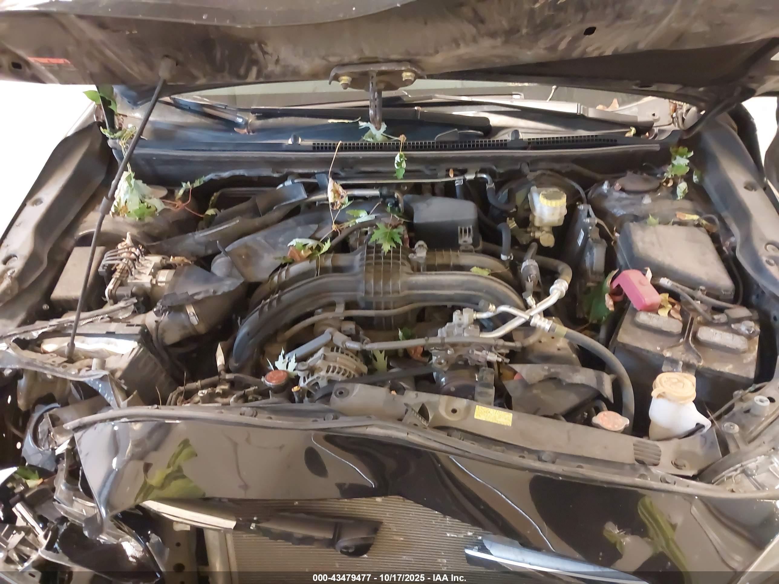 SUBARU IMPREZA image 10