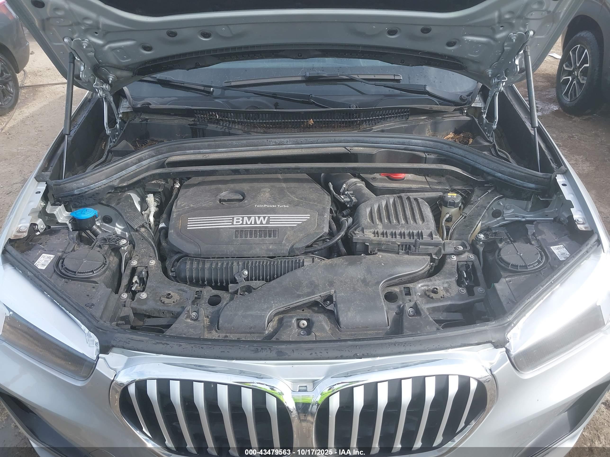 BMW X1 image 10