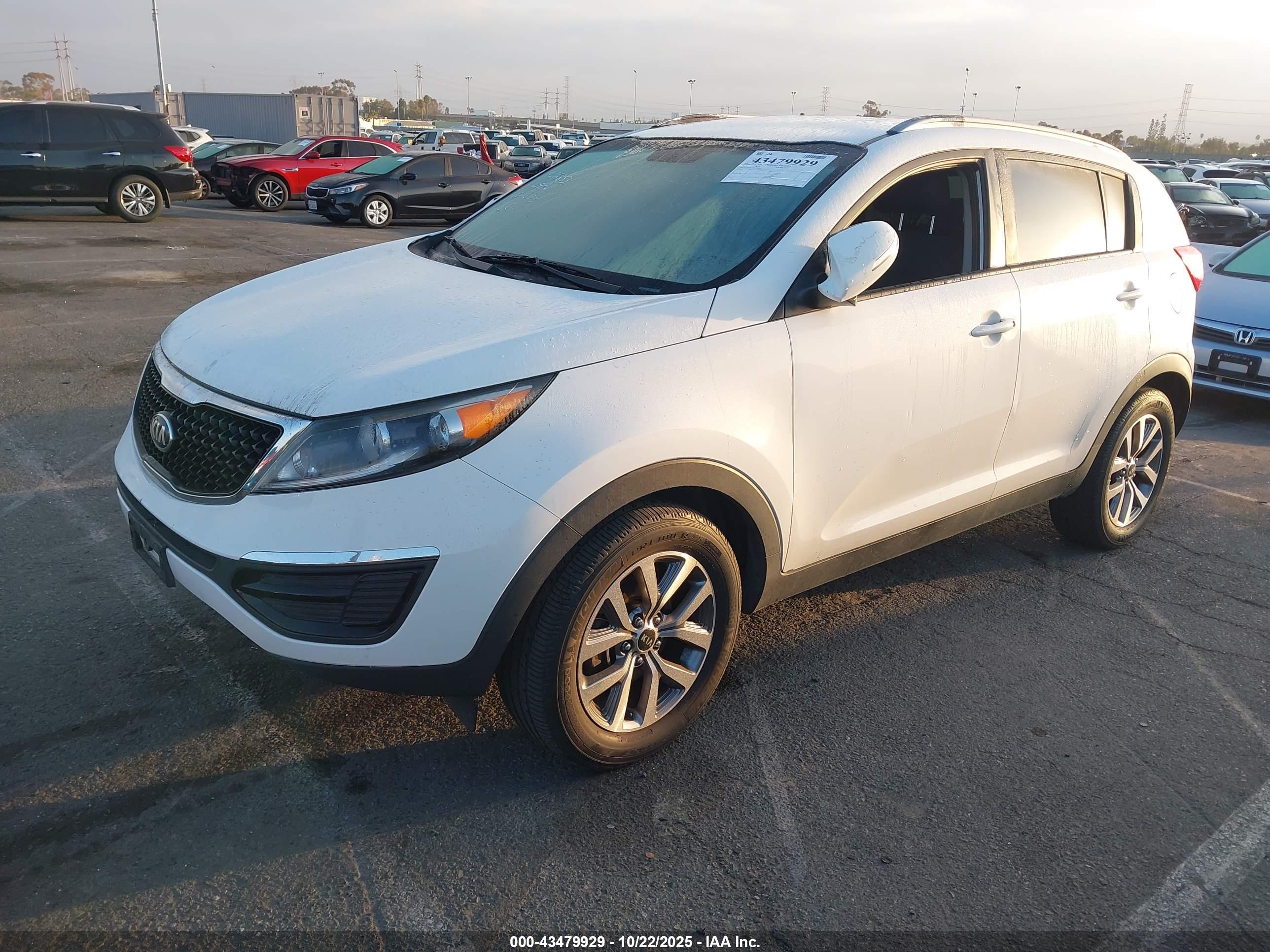 KIA SPORTAGE image 2