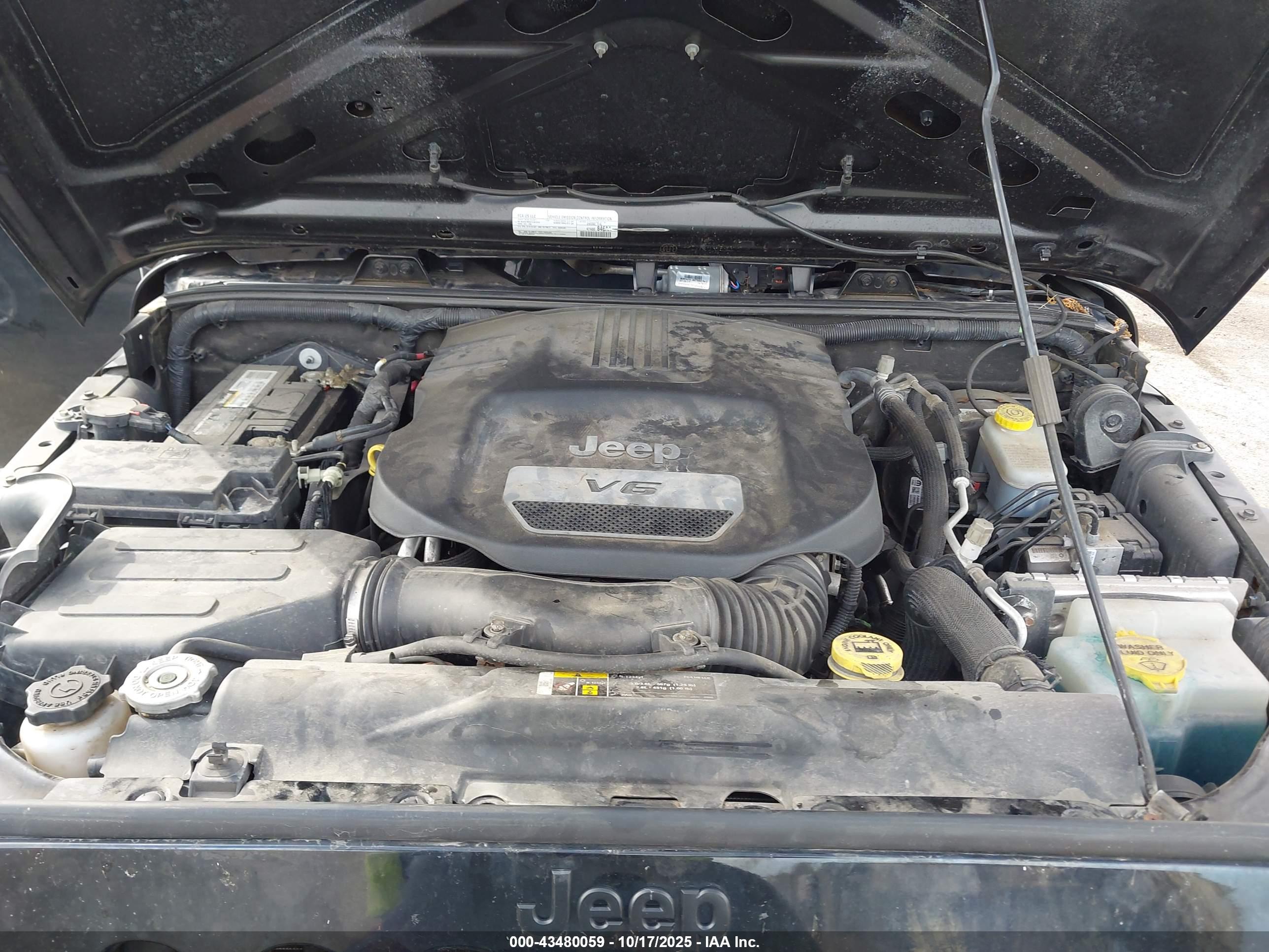 JEEP WRANGLER image 10