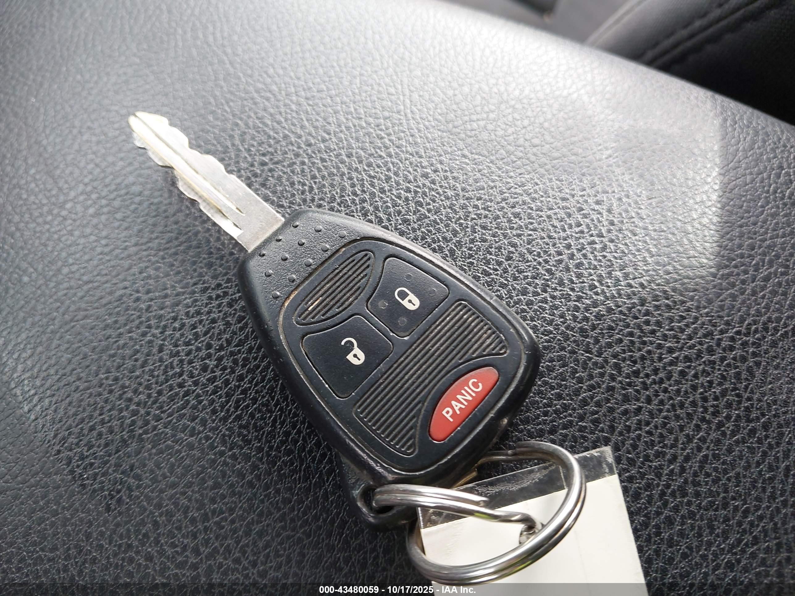 JEEP WRANGLER image 11