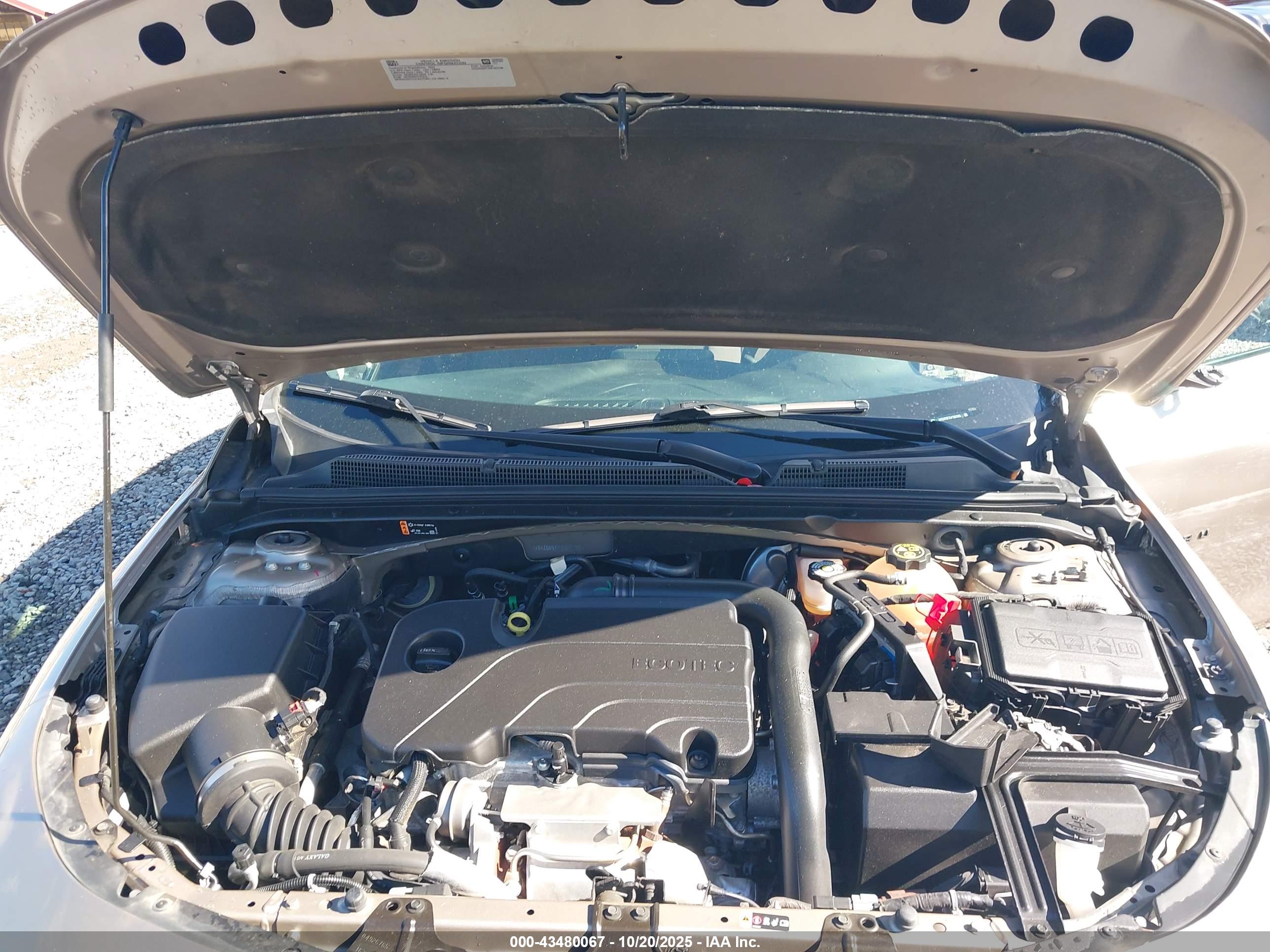 CHEVROLET MALIBU image 10