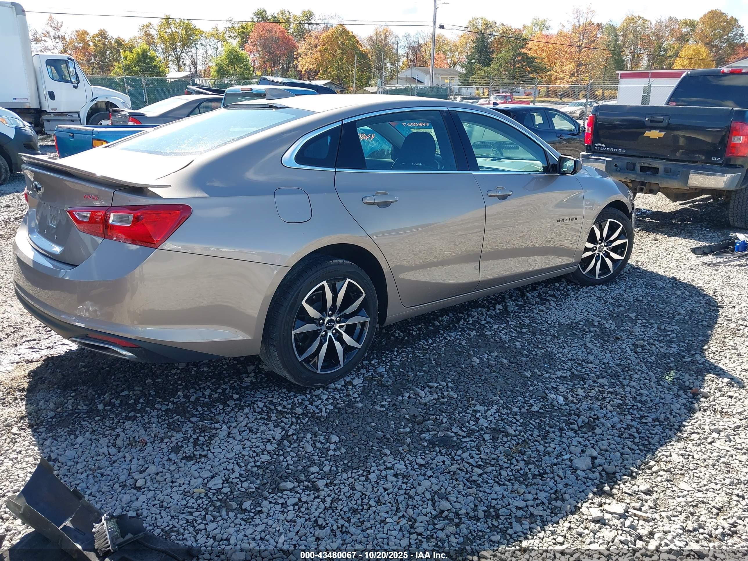 CHEVROLET MALIBU image 4