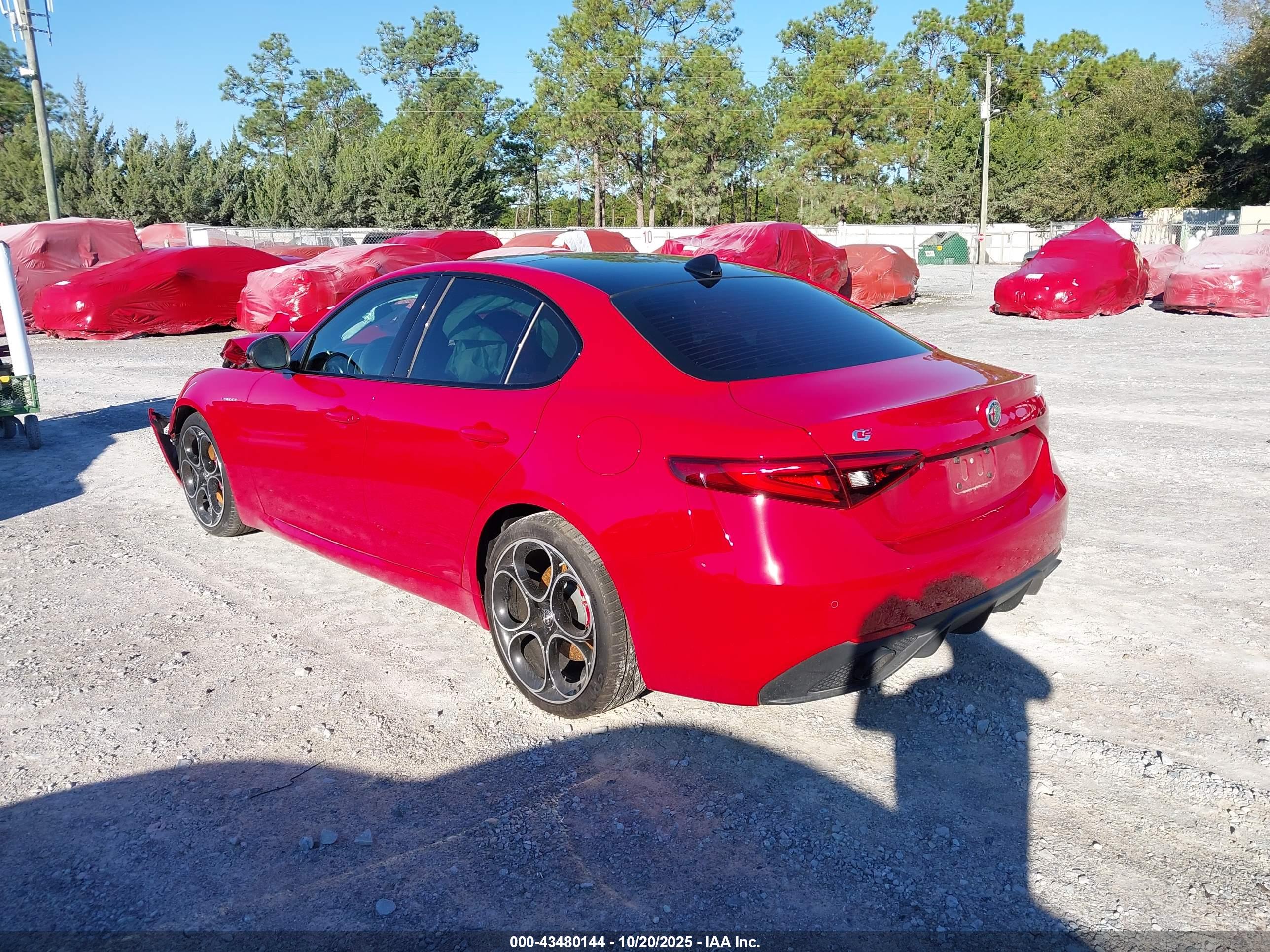 ALFA ROMEO image 3