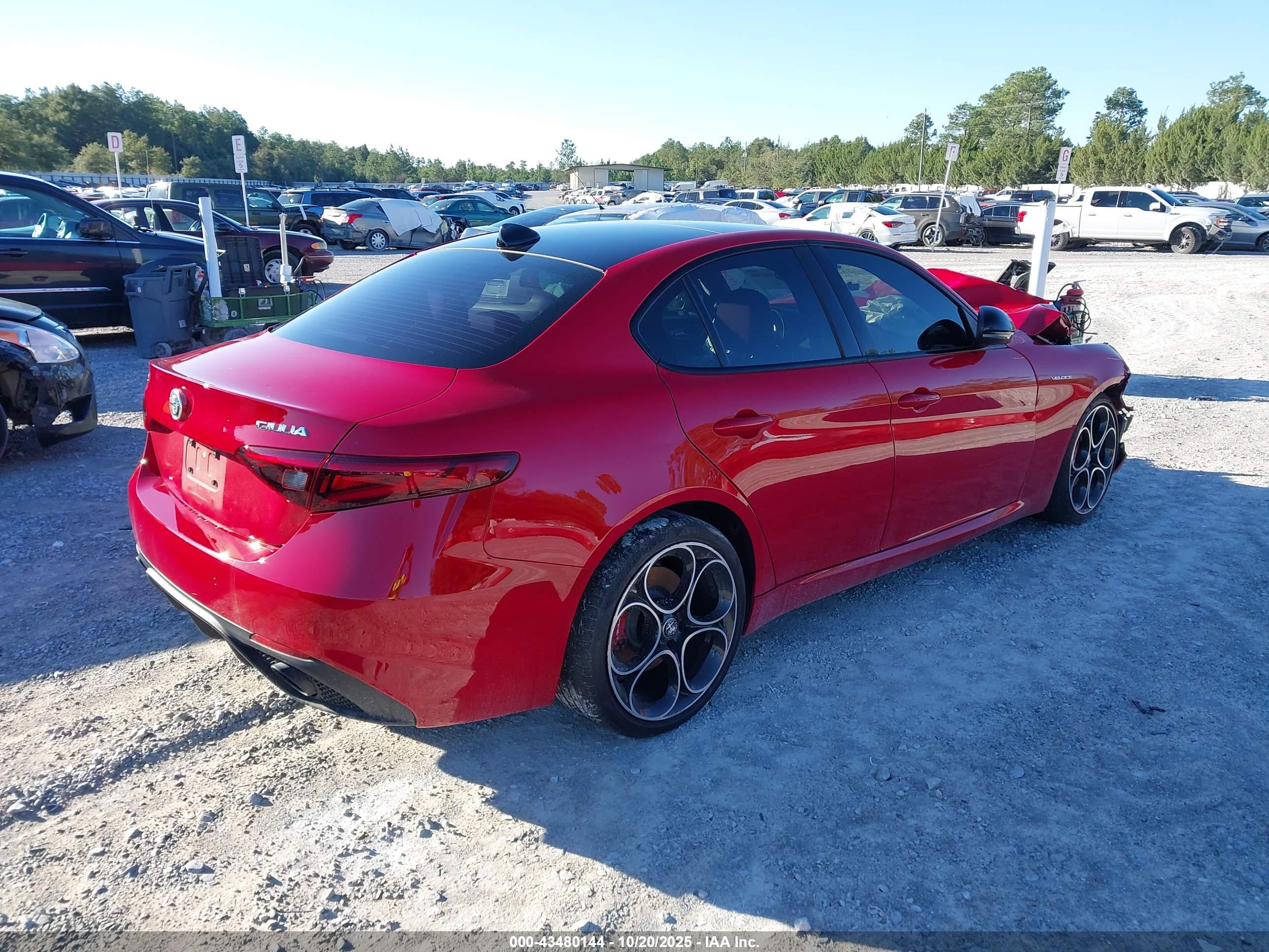 ALFA ROMEO image 4