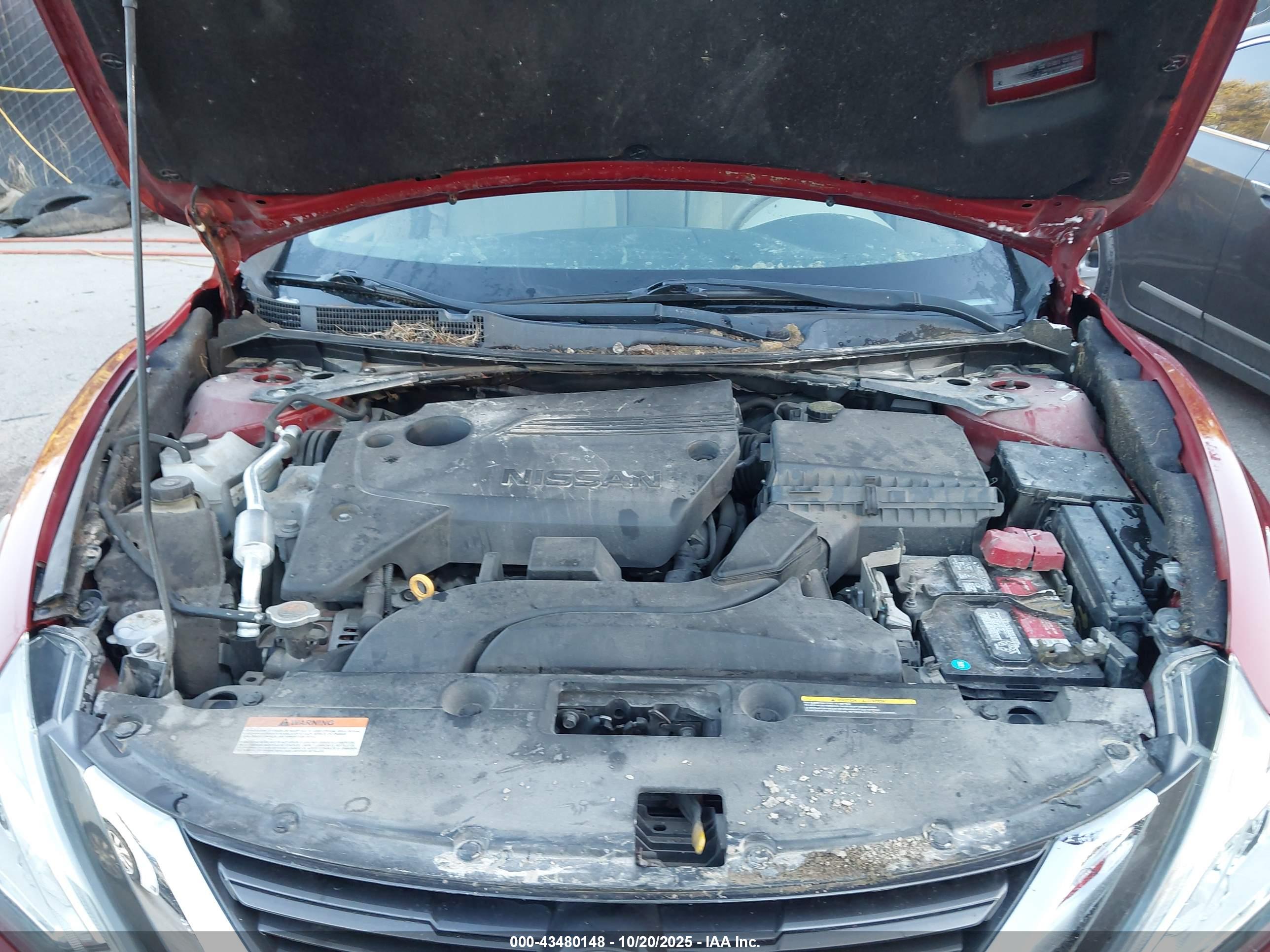NISSAN ALTIMA image 10