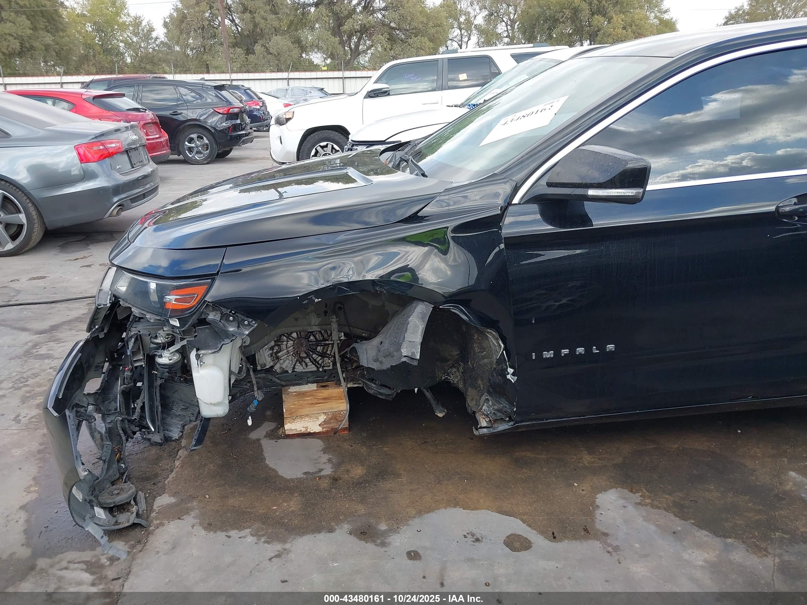 CHEVROLET IMPALA image 6
