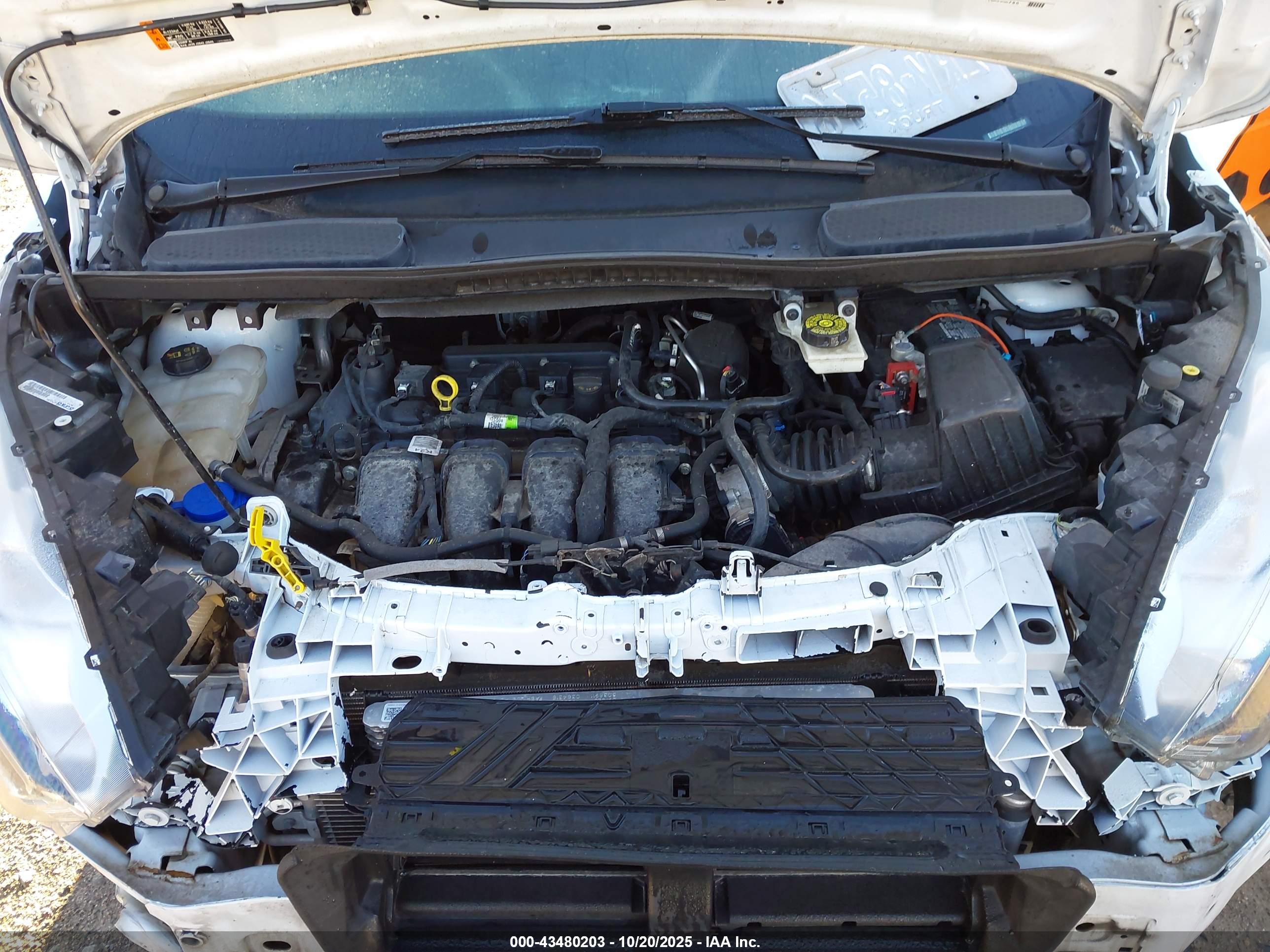 FORD TRANSIT image 10