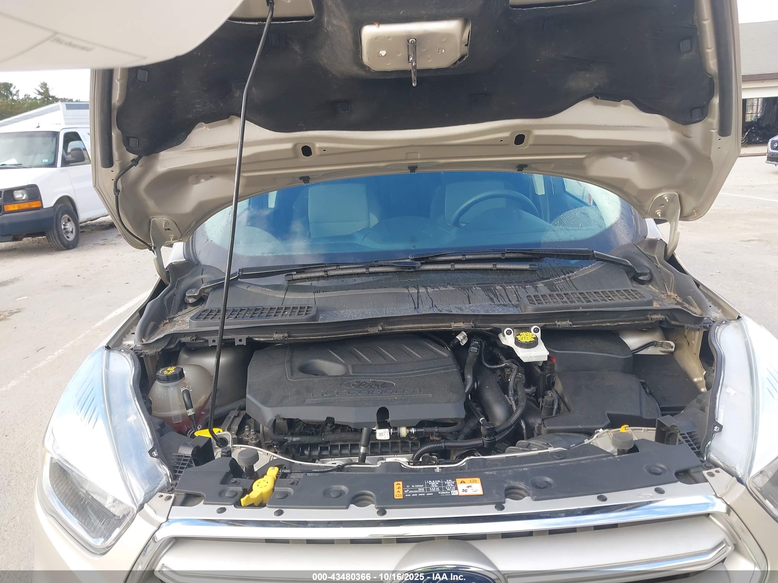 FORD ESCAPE image 10