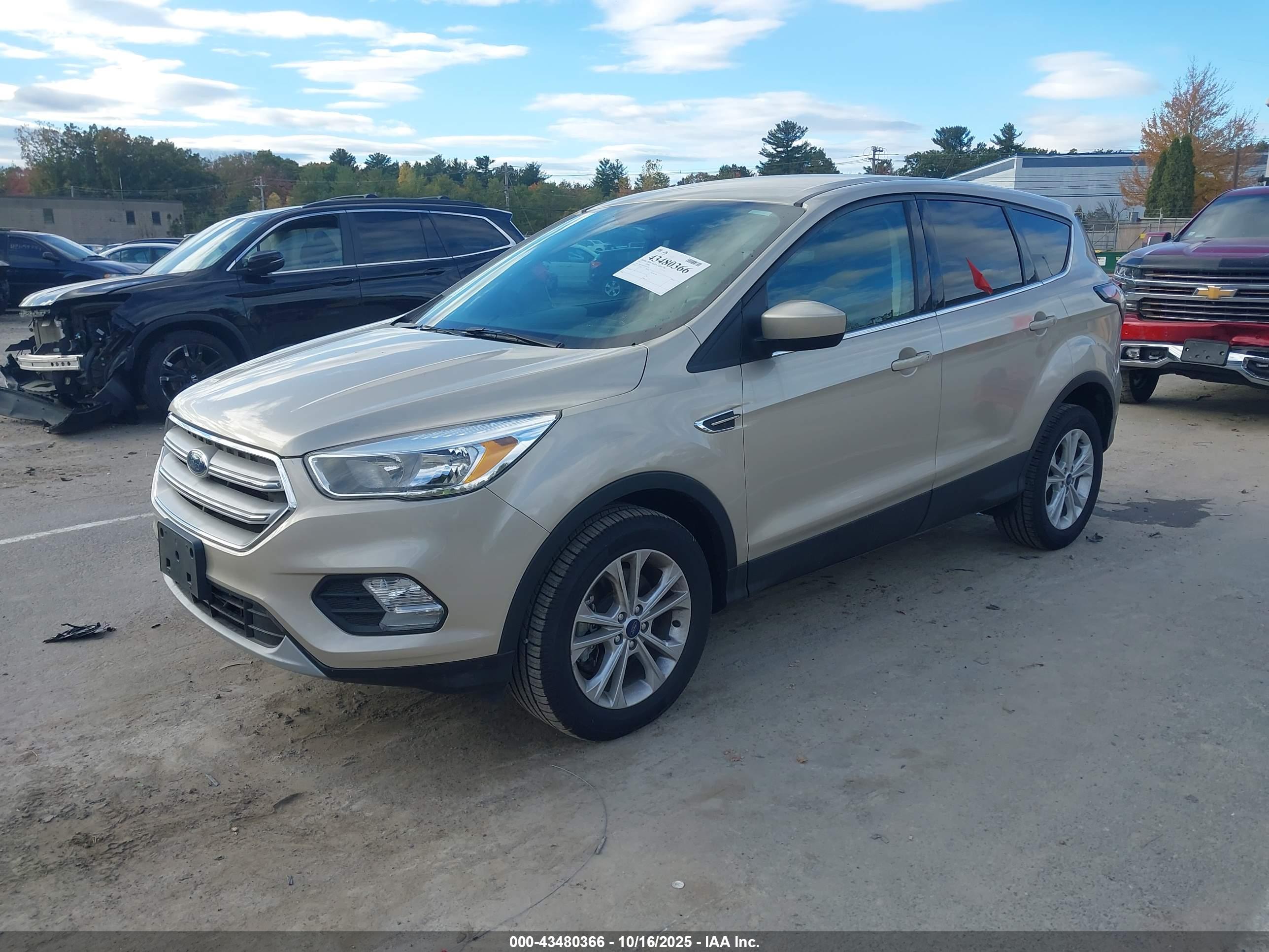 FORD ESCAPE image 2