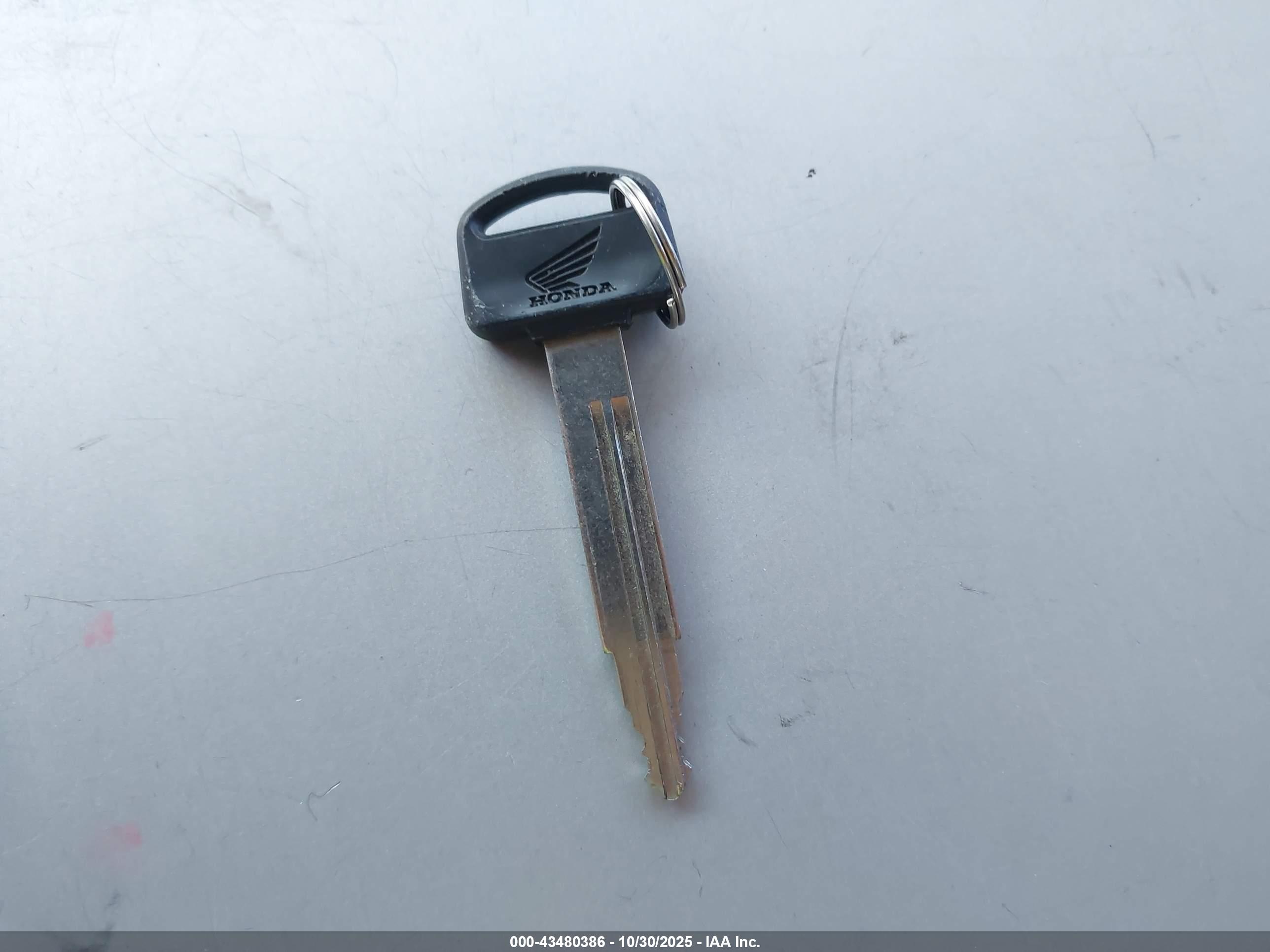 HONDA NPS50 image 11