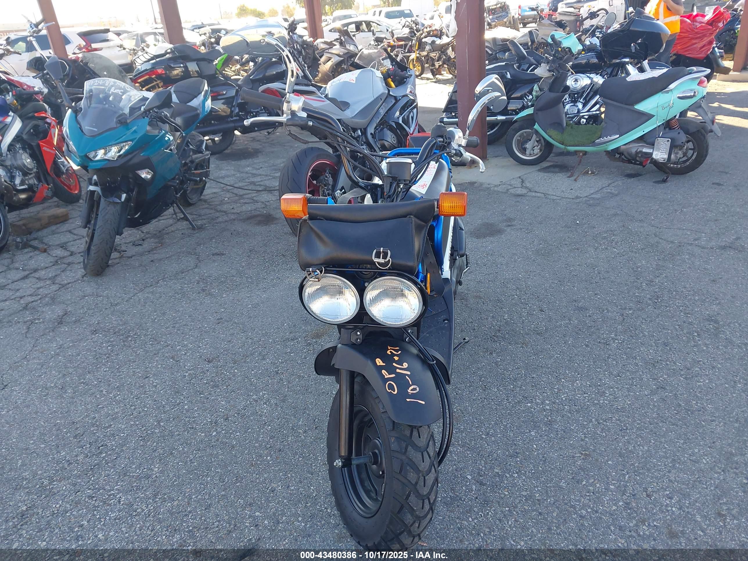HONDA NPS50 image 5