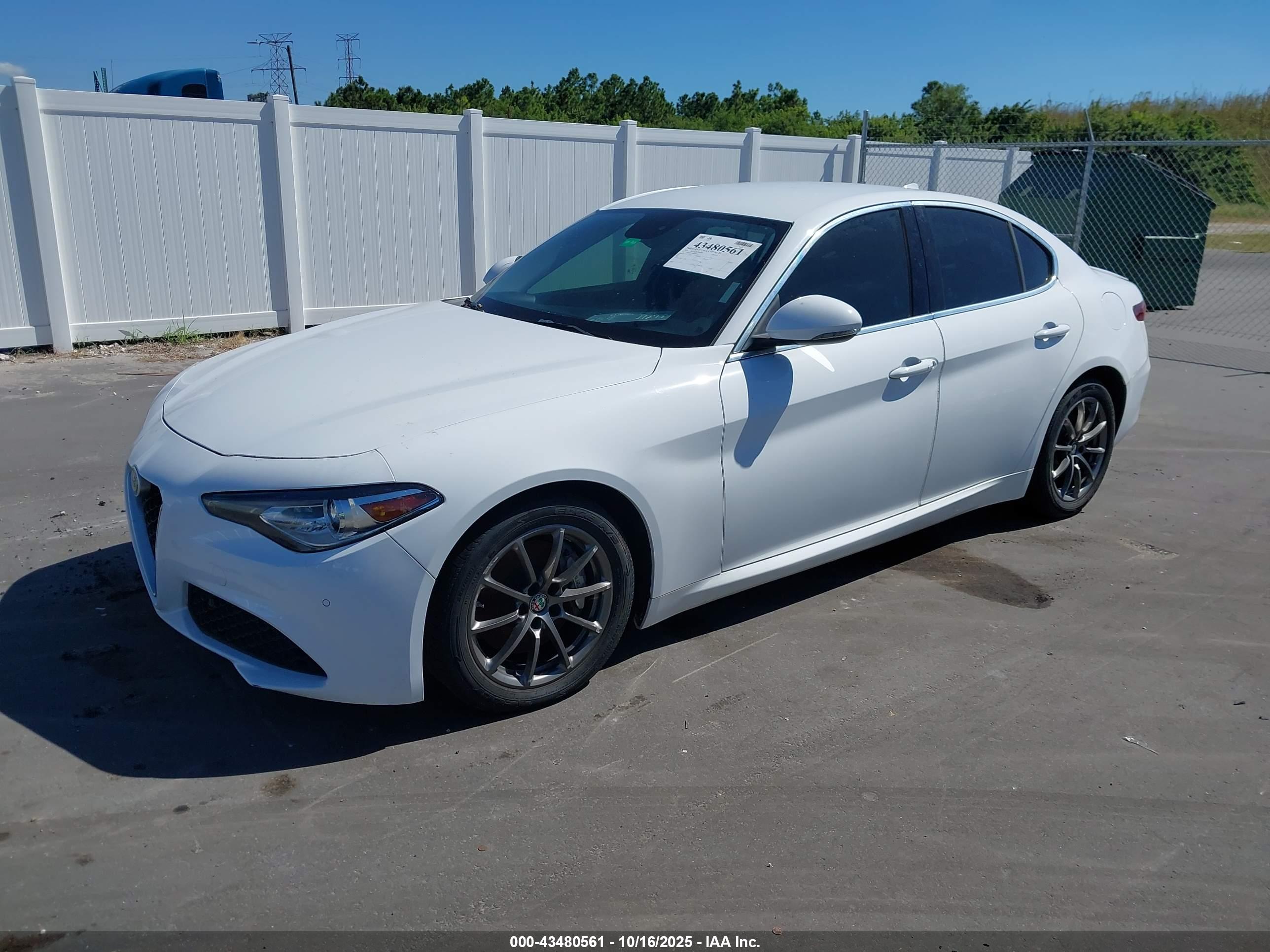ALFA ROMEO image 2