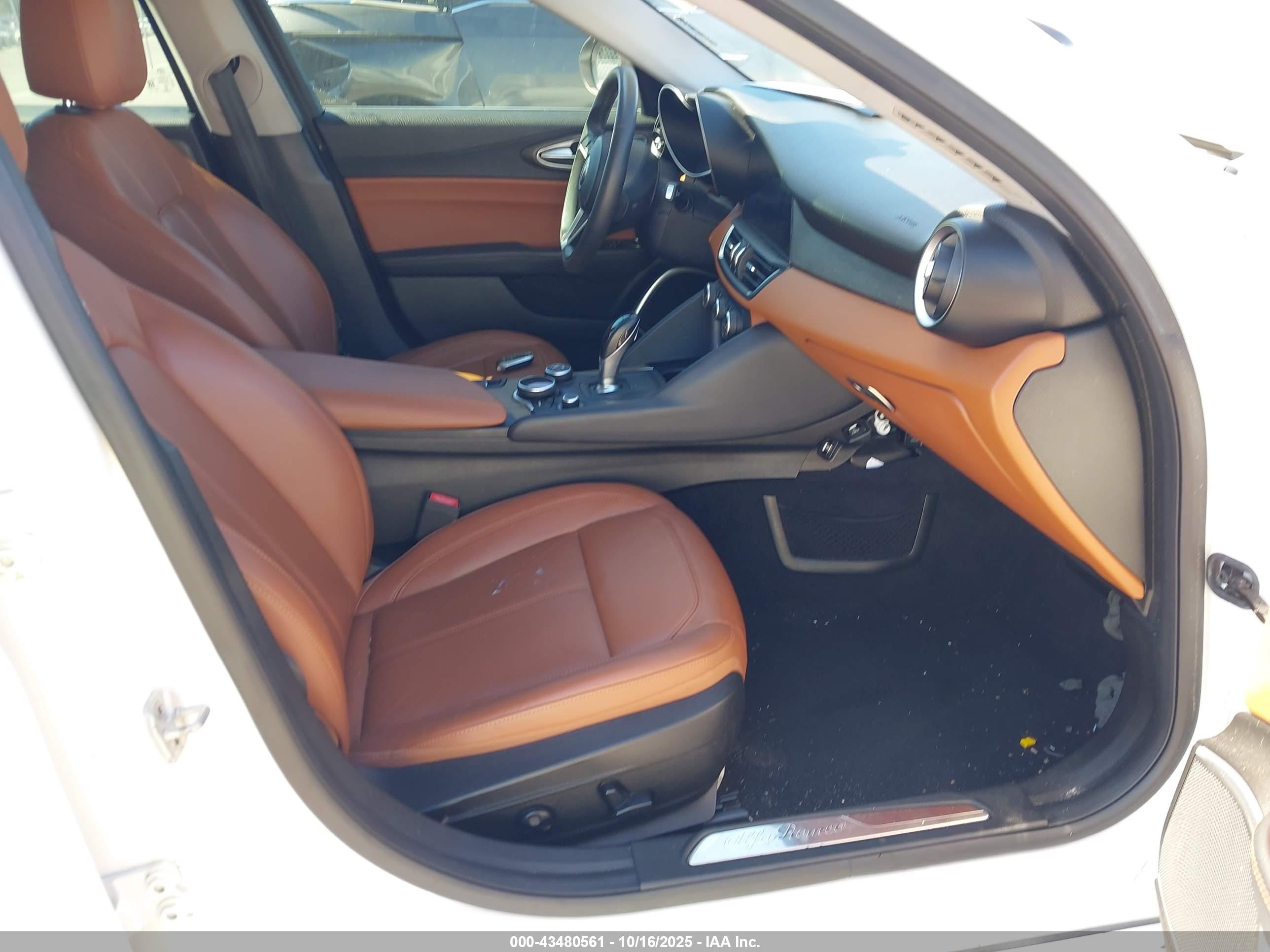 ALFA ROMEO image 5