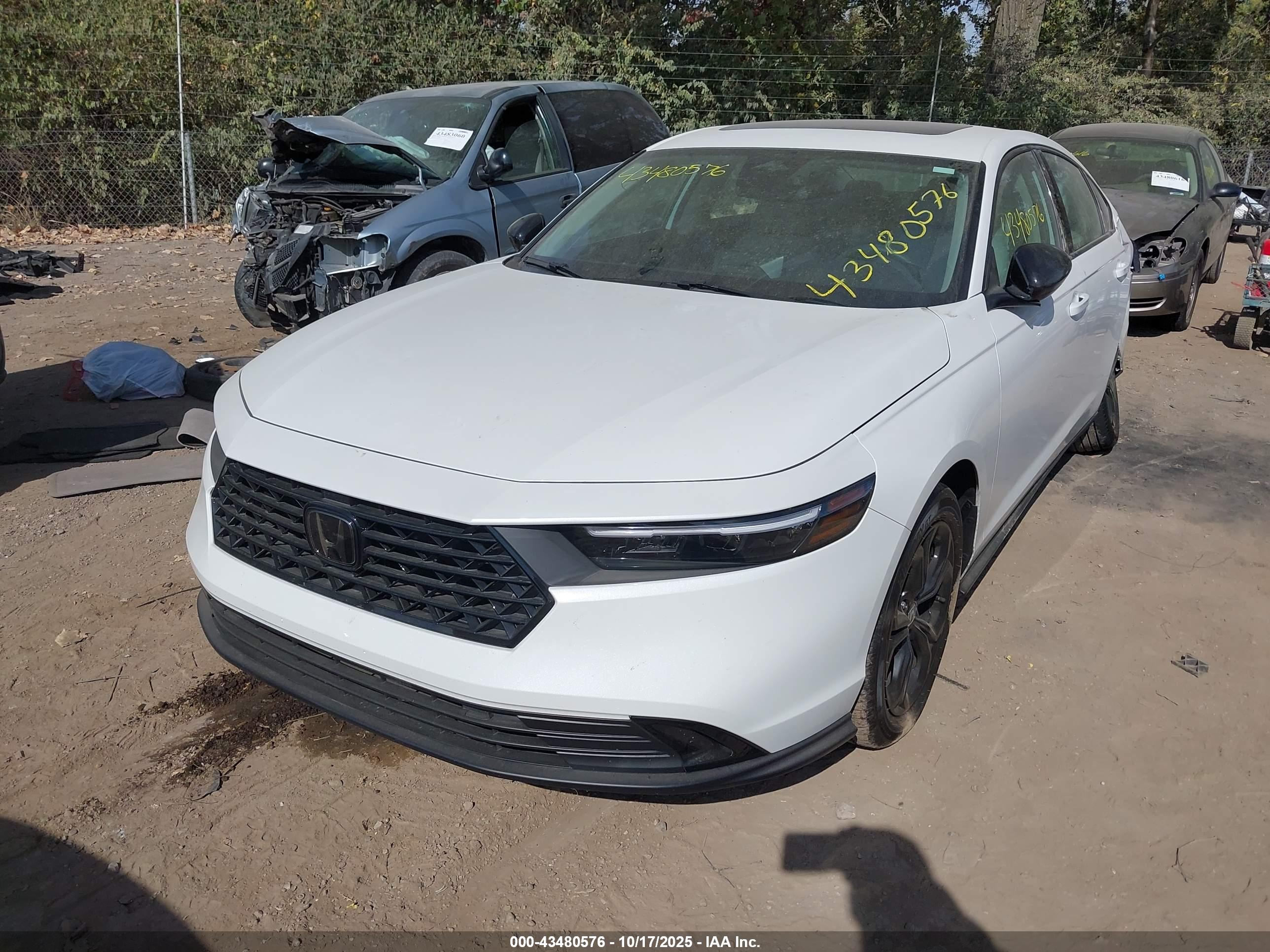 HONDA ACCORD image 2