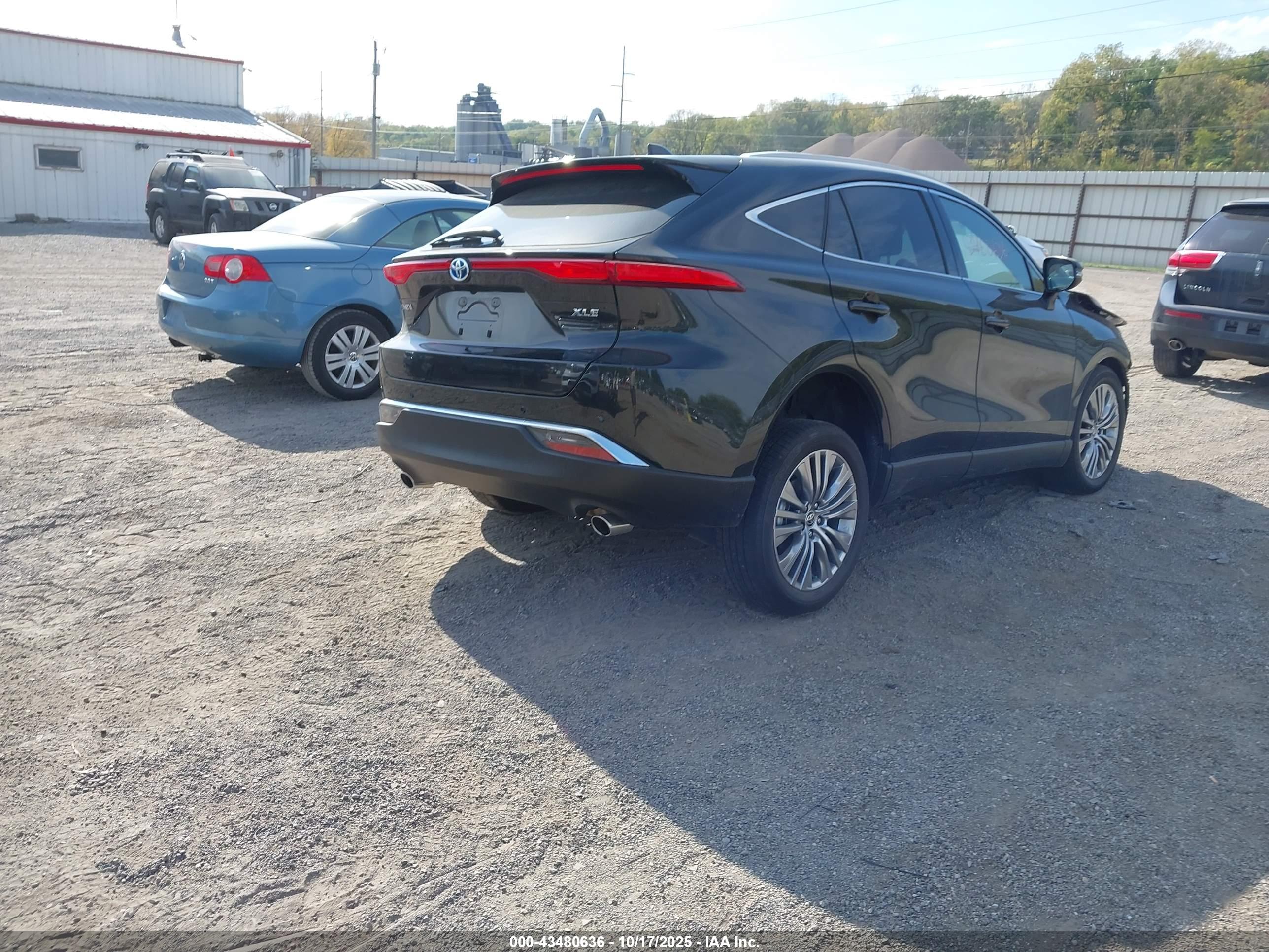 TOYOTA VENZA image 4