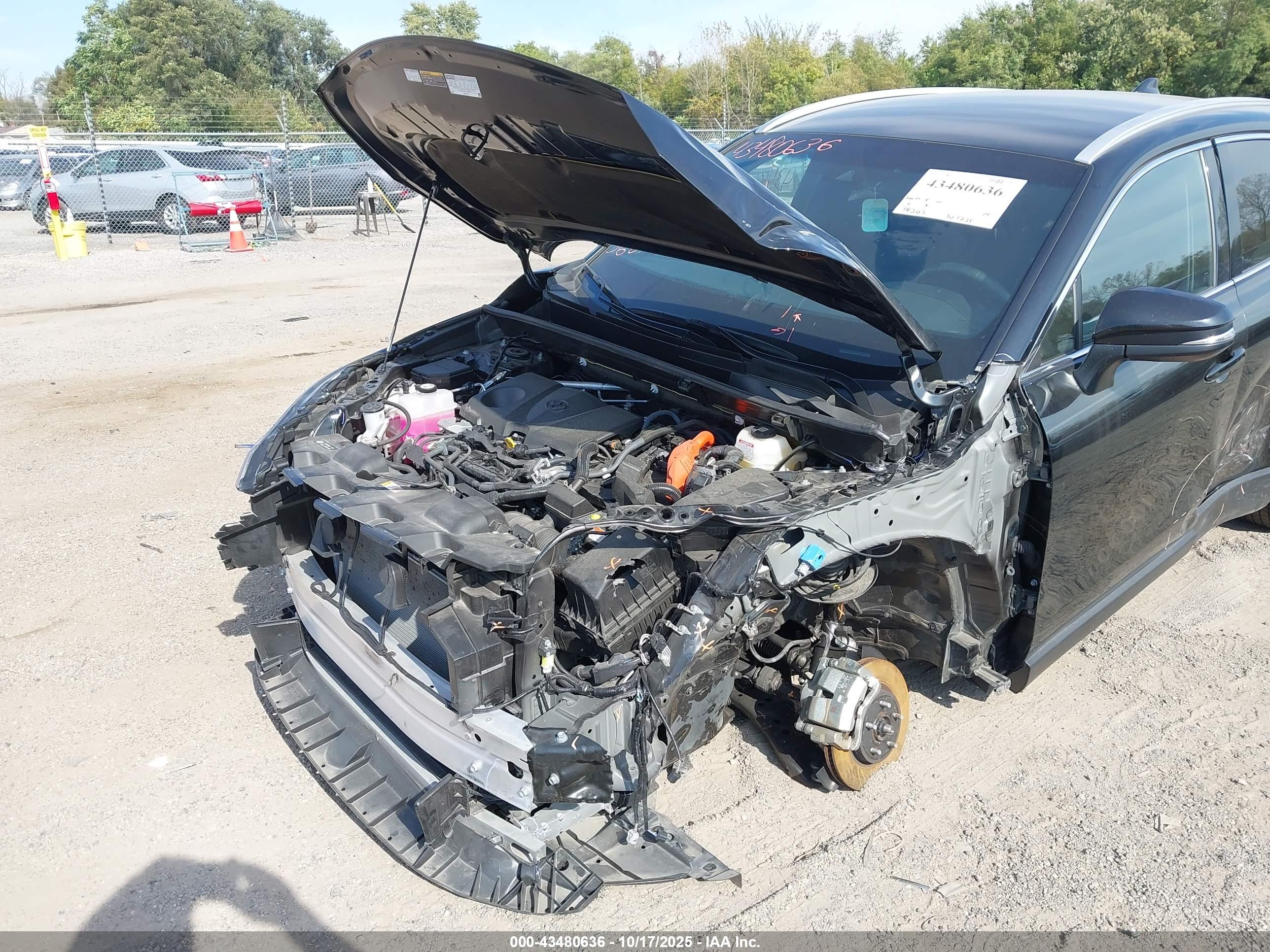 TOYOTA VENZA image 6