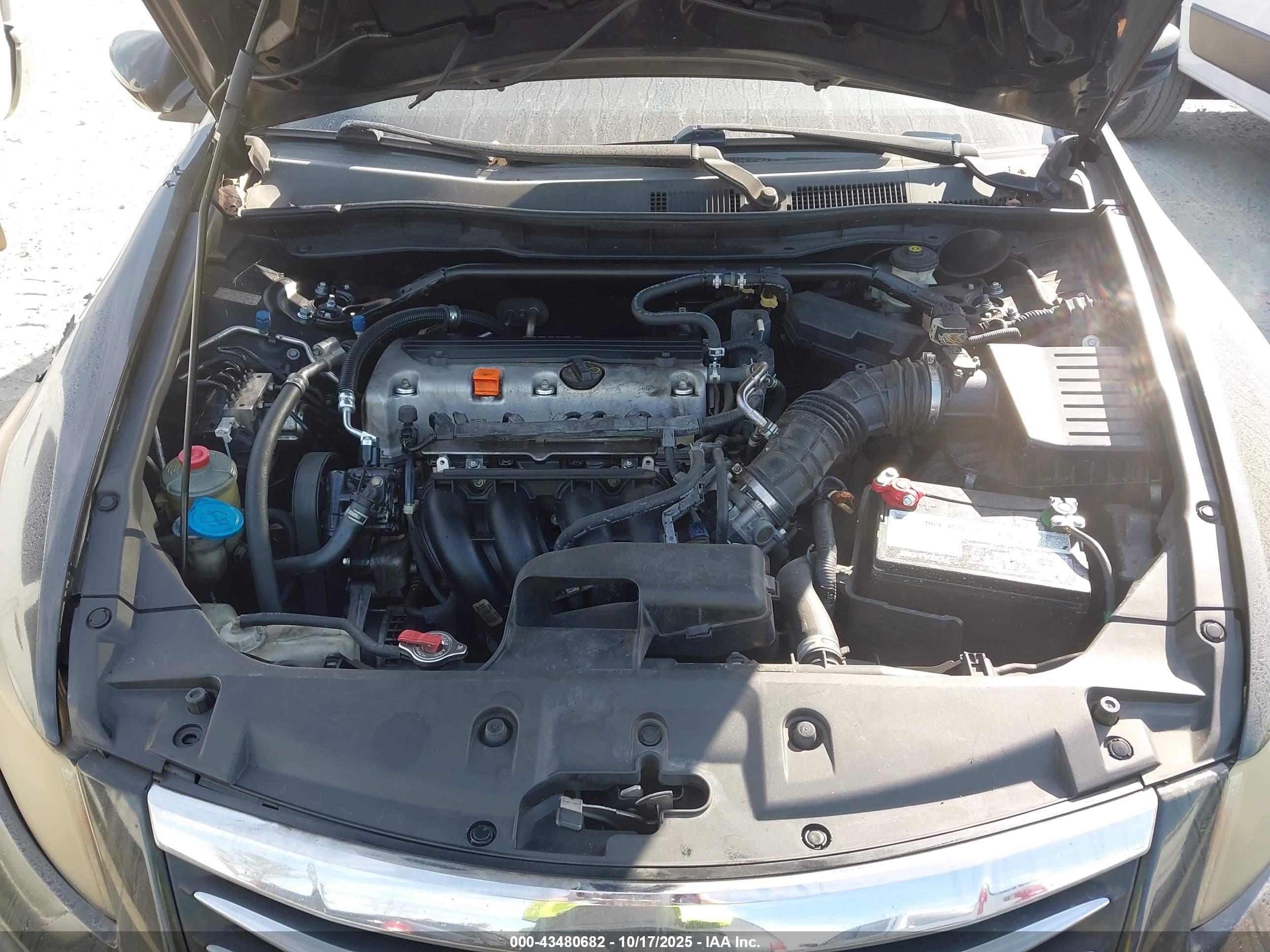 HONDA ACCORD image 10