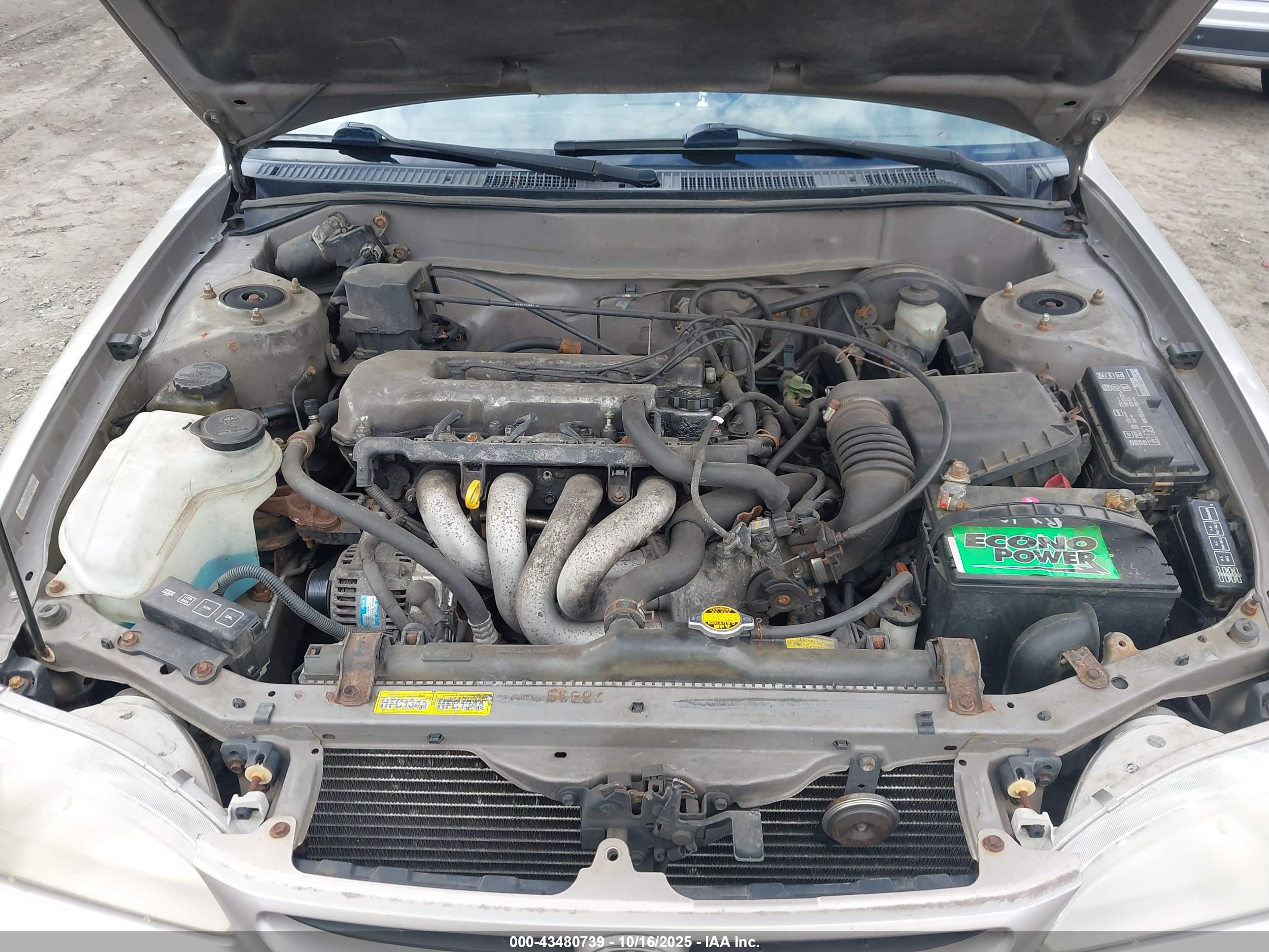TOYOTA COROLLA image 10