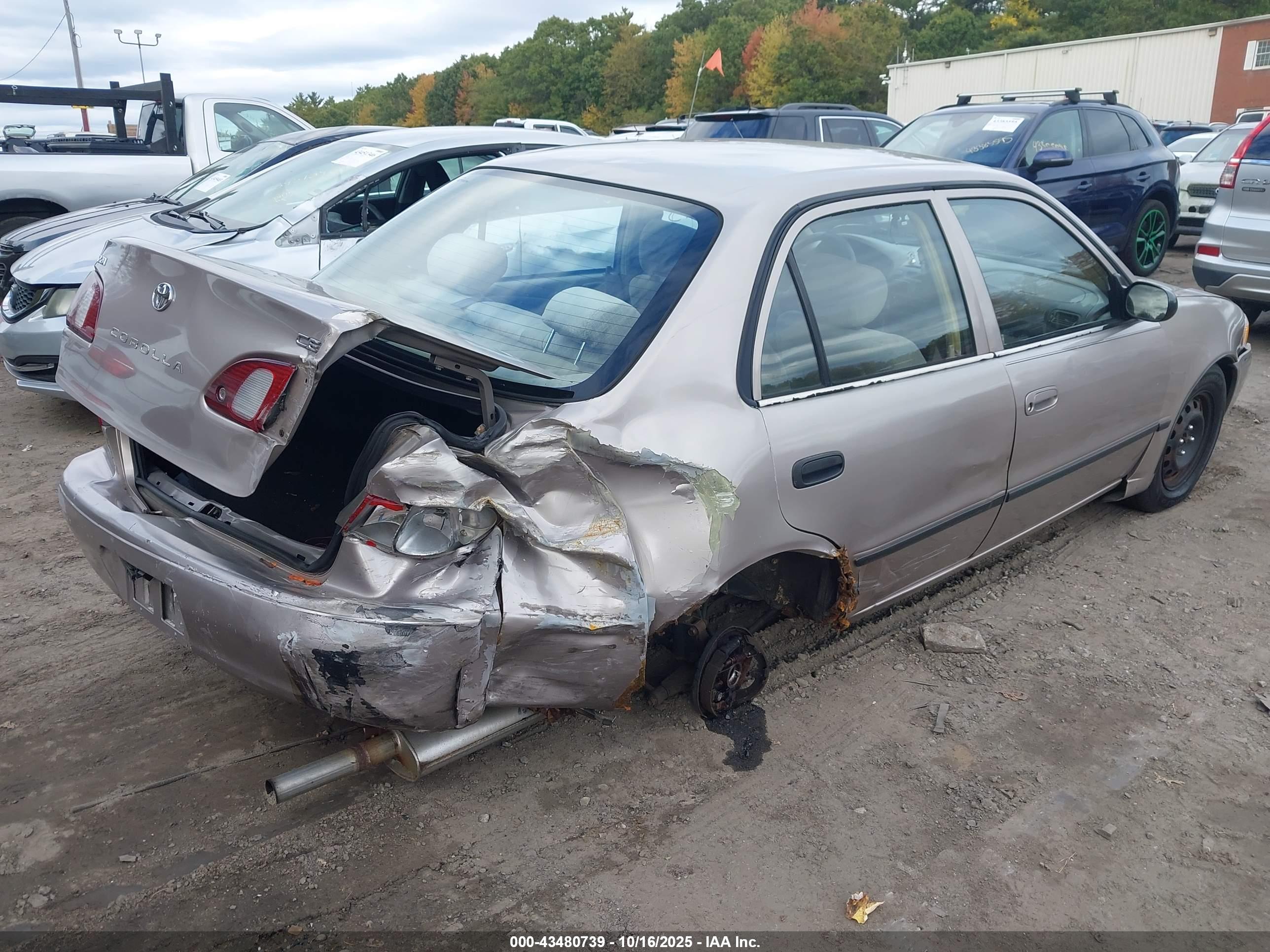 TOYOTA COROLLA image 4