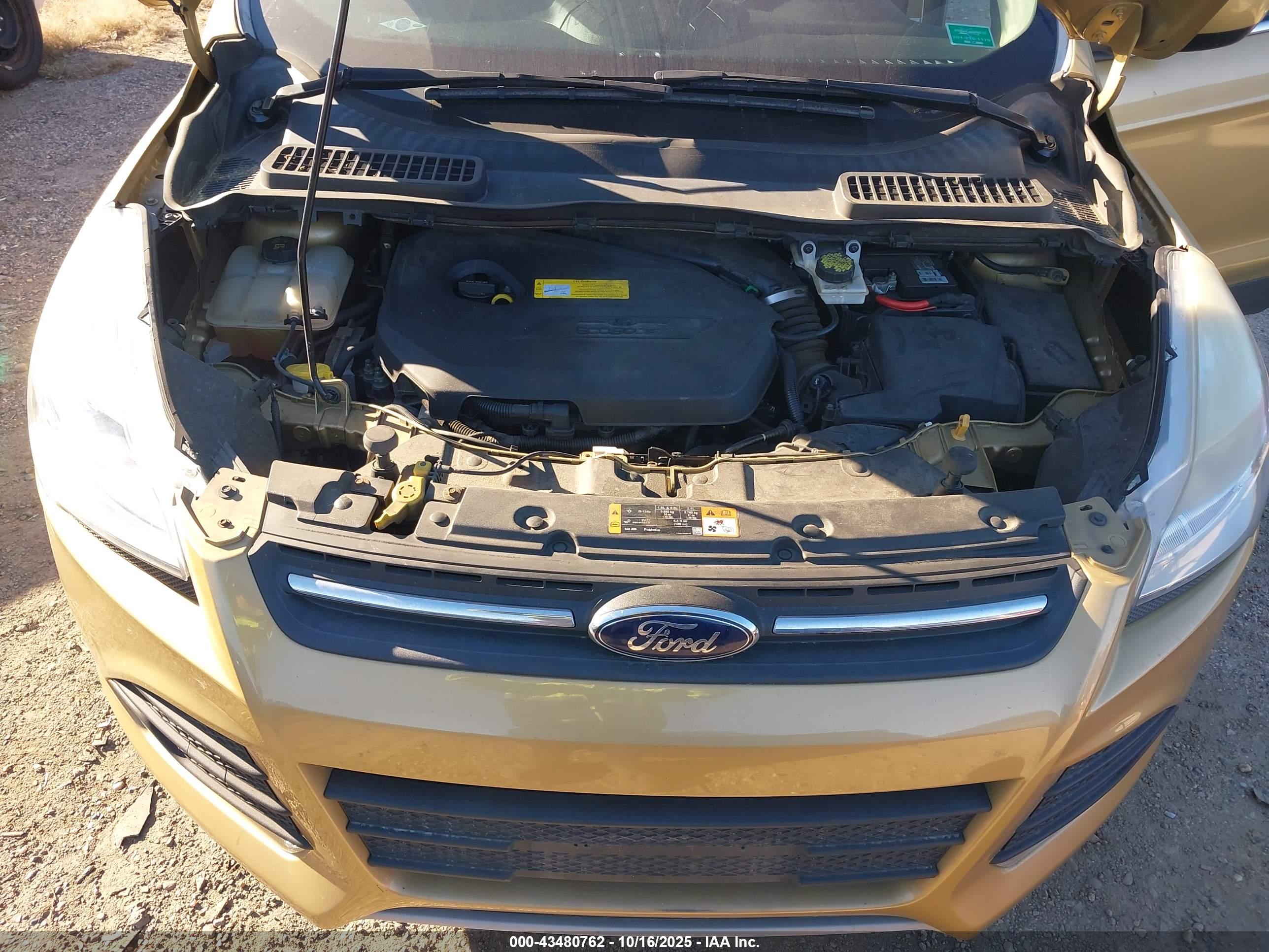 FORD ESCAPE image 10