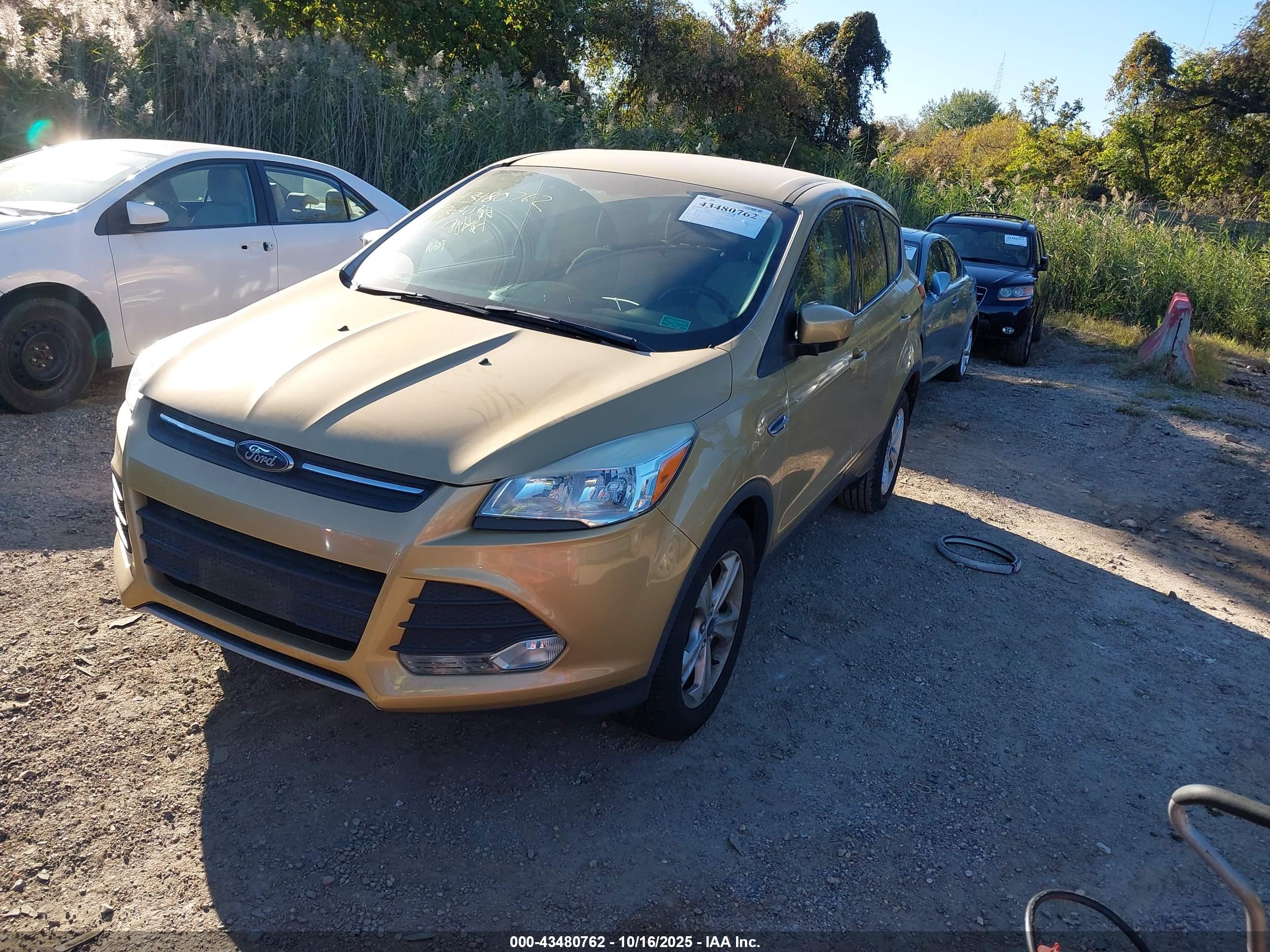FORD ESCAPE image 2