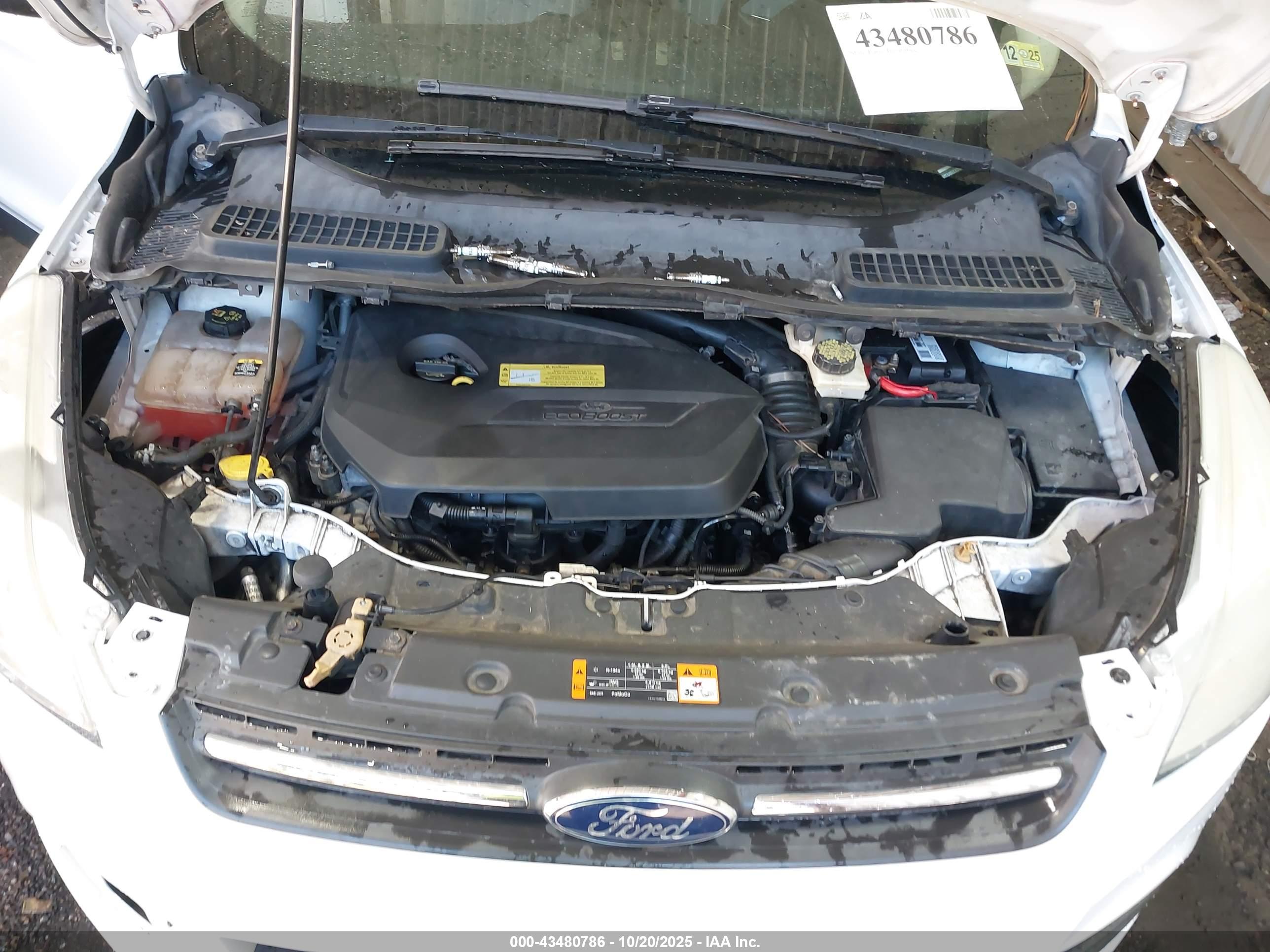 FORD ESCAPE image 10
