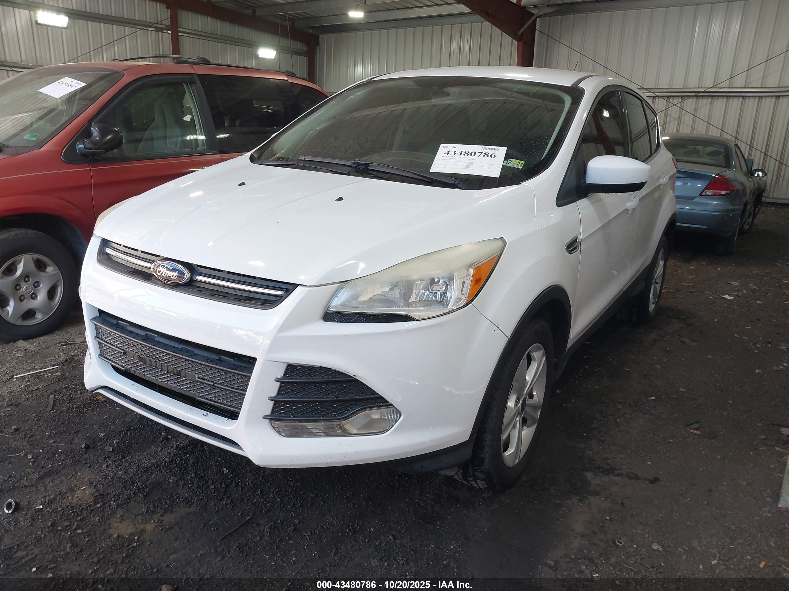 FORD ESCAPE image 2