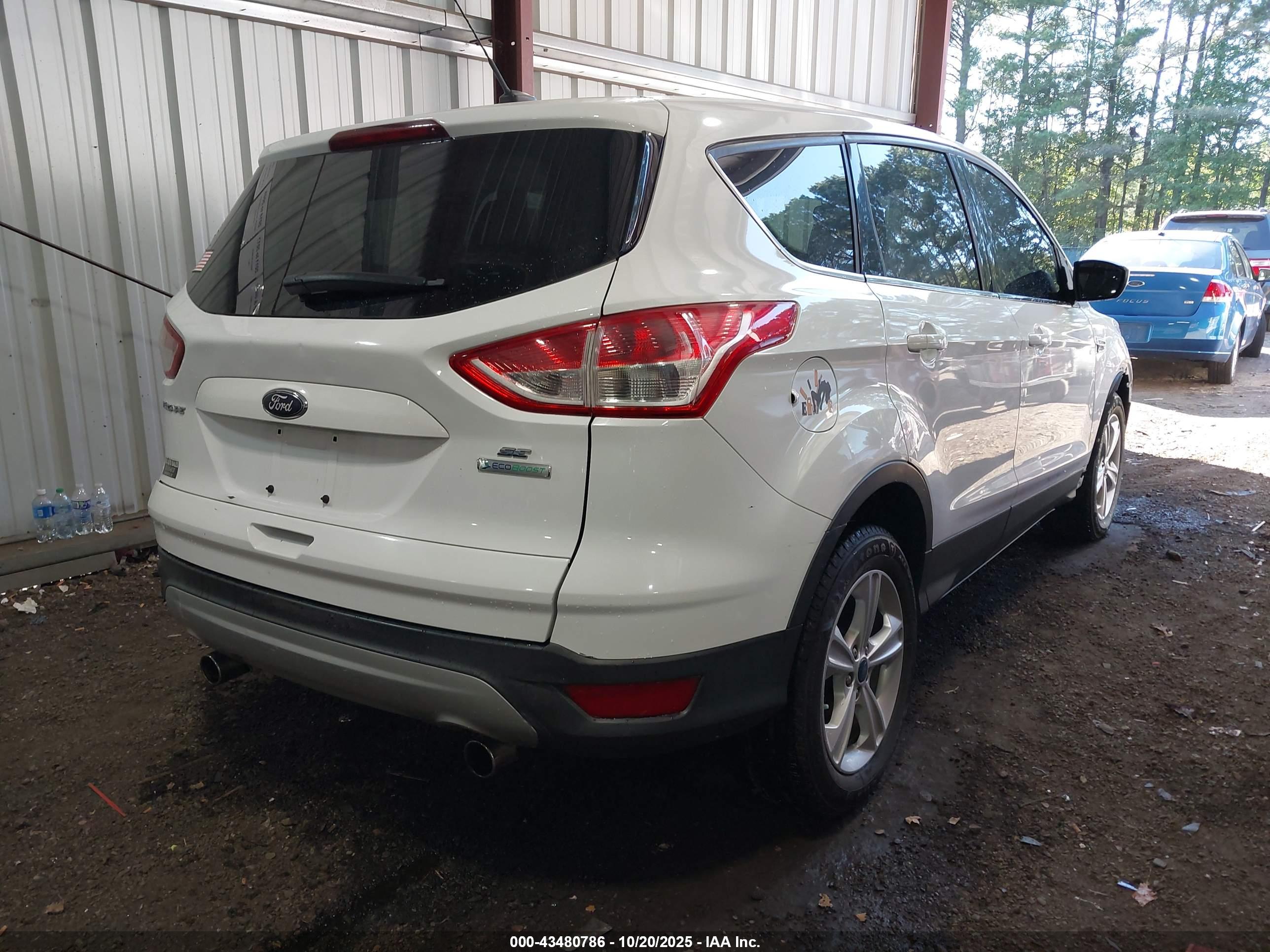 FORD ESCAPE image 4