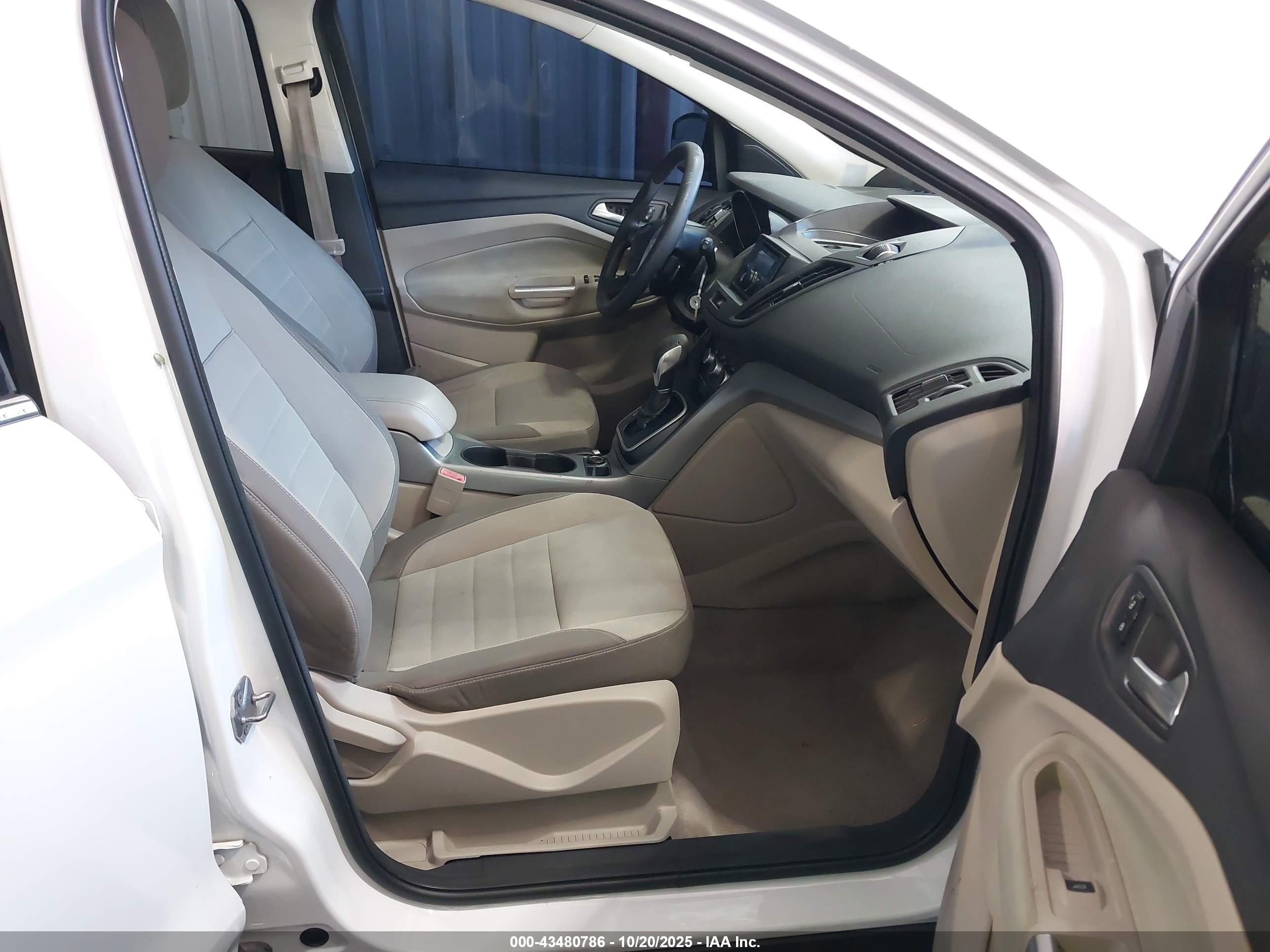 FORD ESCAPE image 5