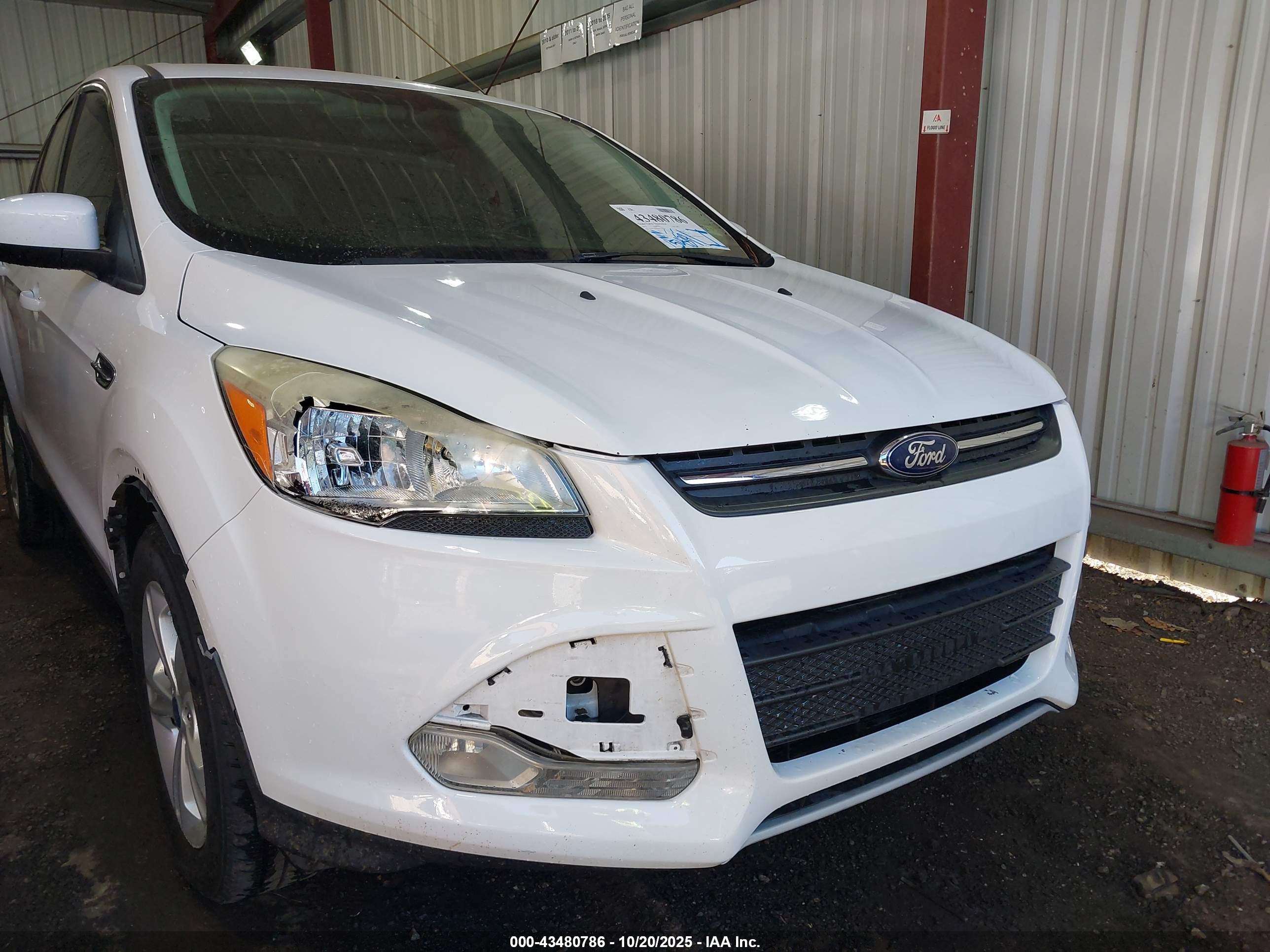 FORD ESCAPE image 6