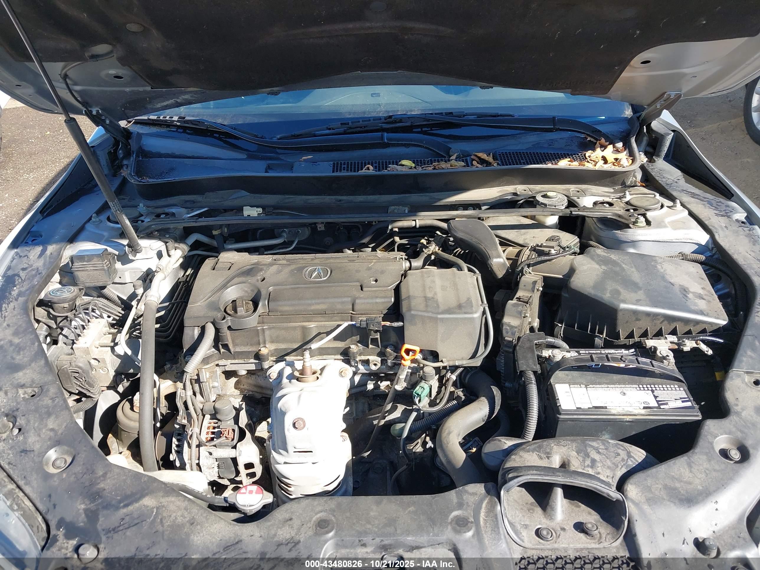 ACURA TLX image 10