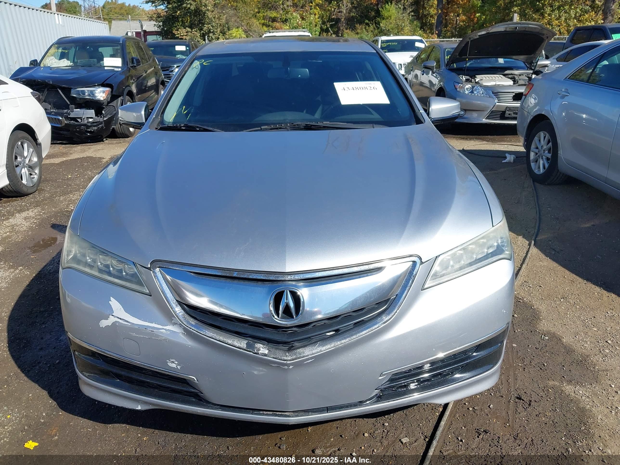 ACURA TLX image 6