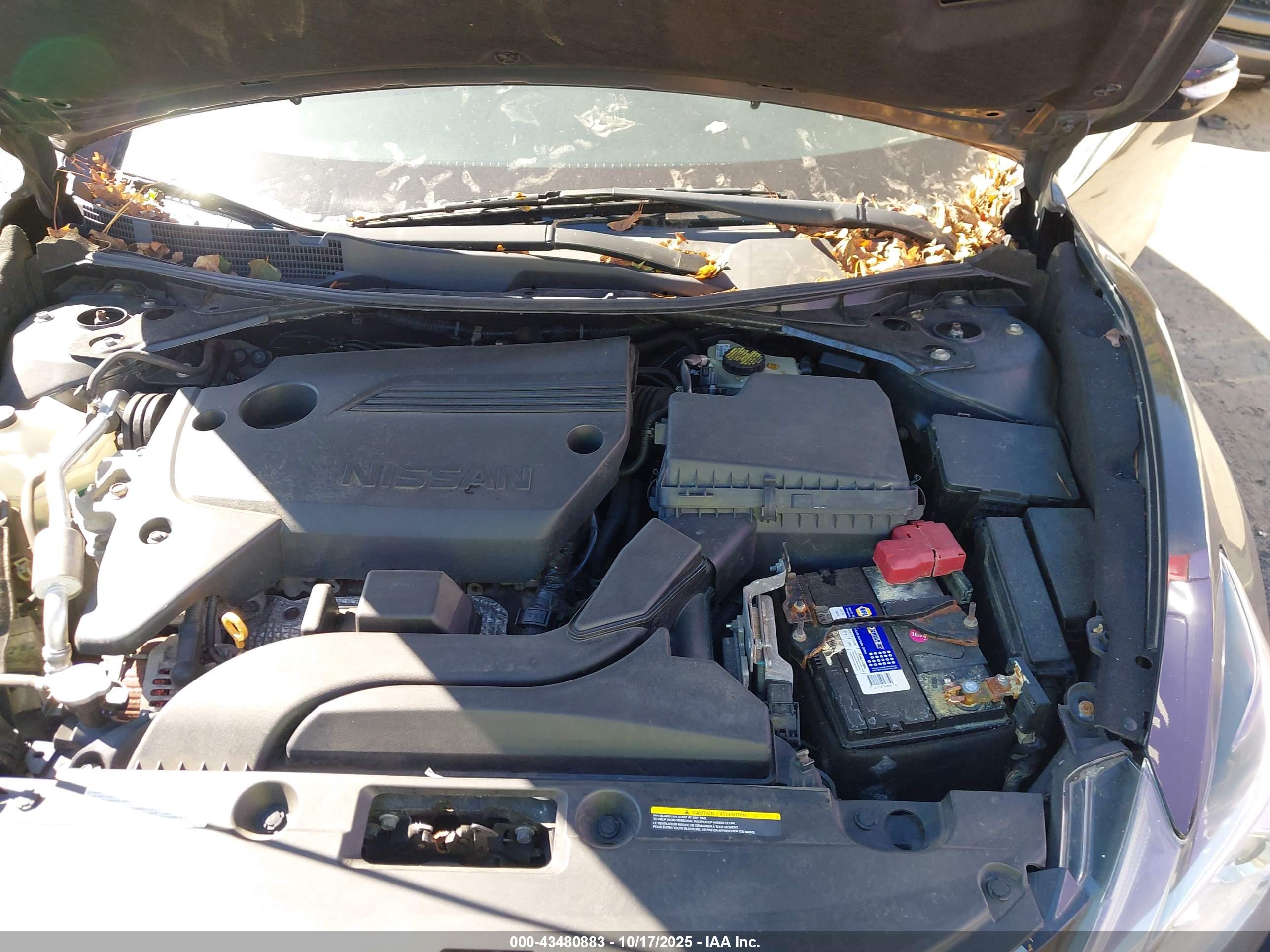 NISSAN ALTIMA image 10