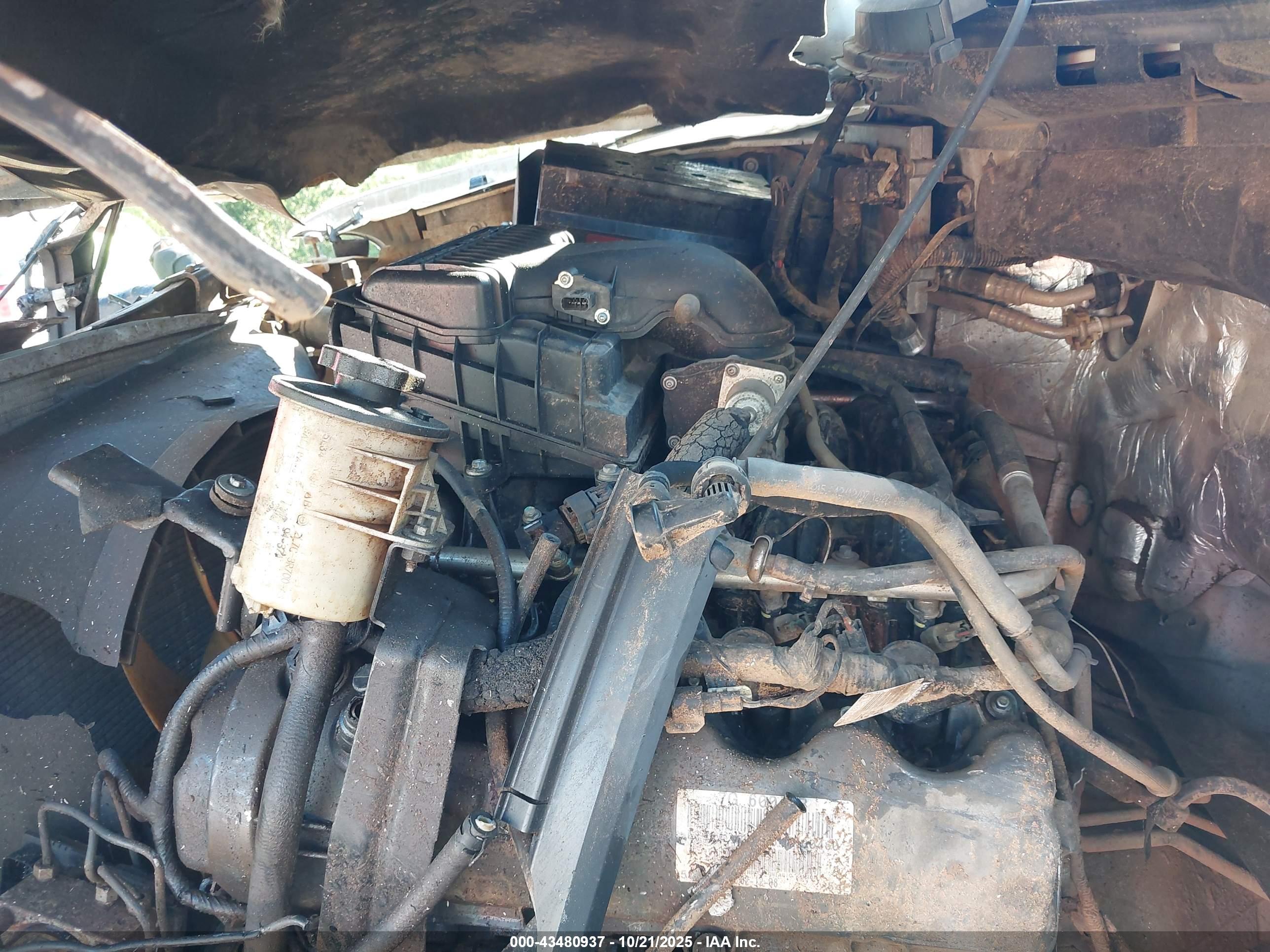 FORD F-150 image 10