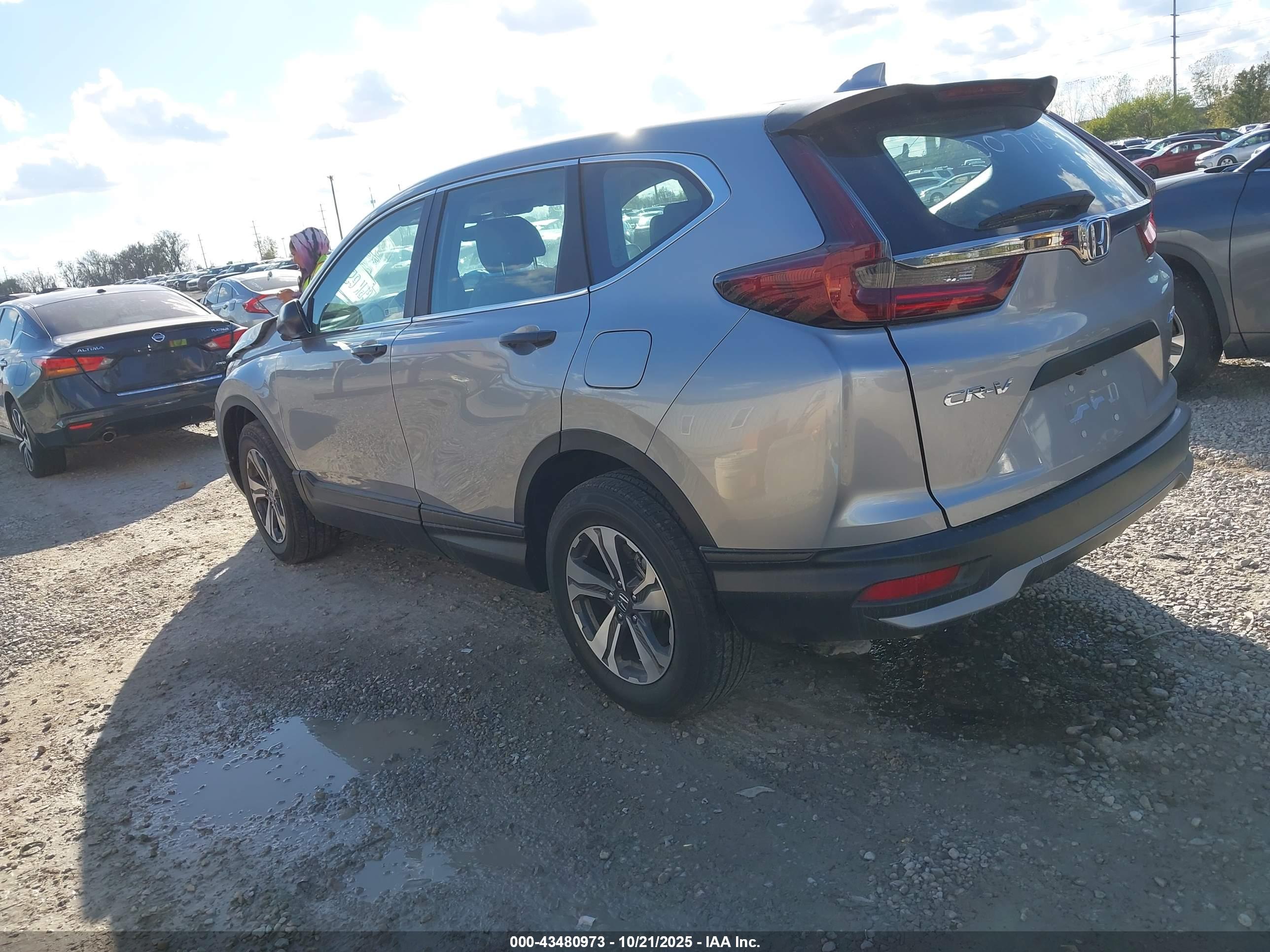 HONDA CR-V image 3