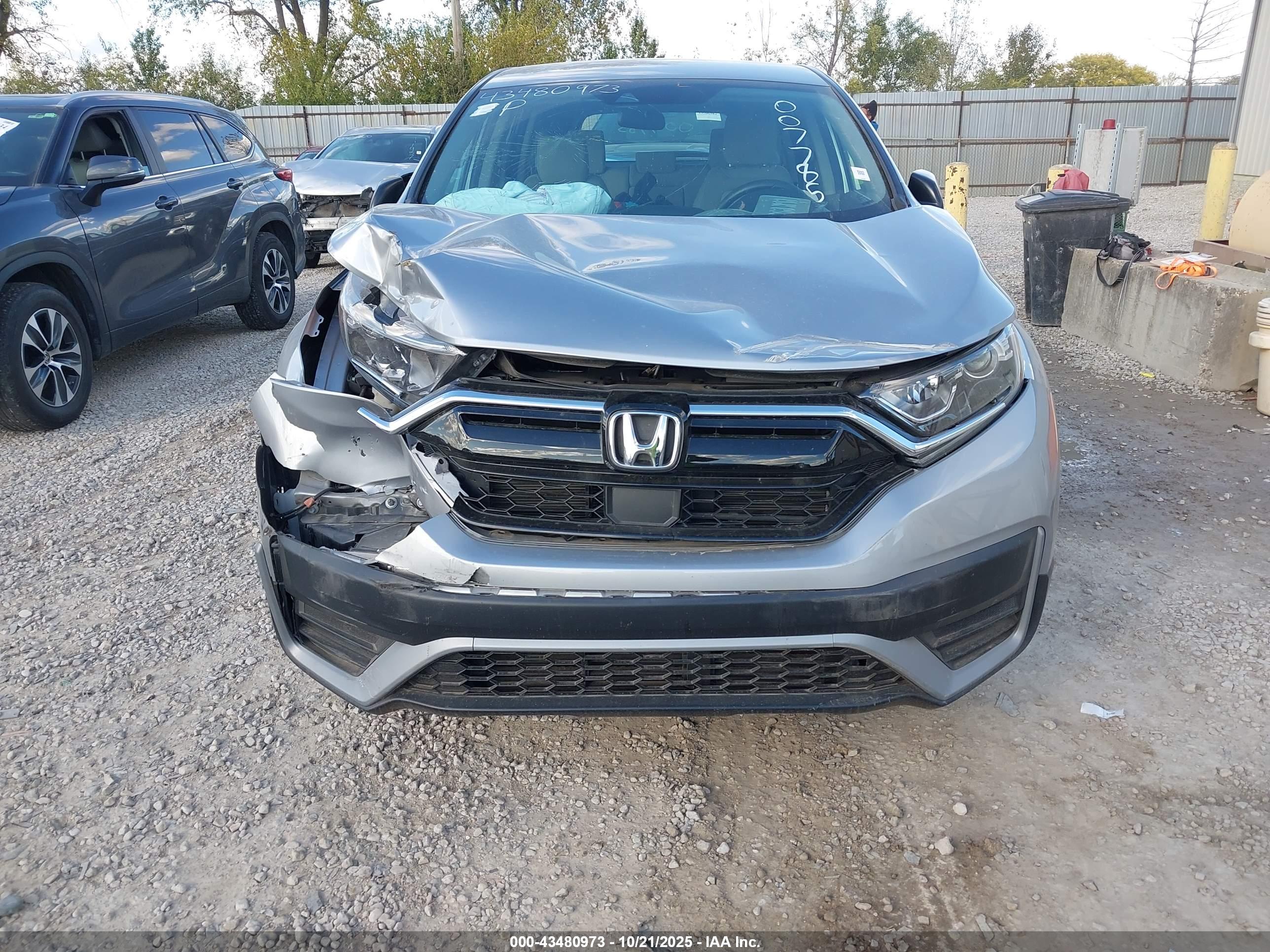 HONDA CR-V image 6