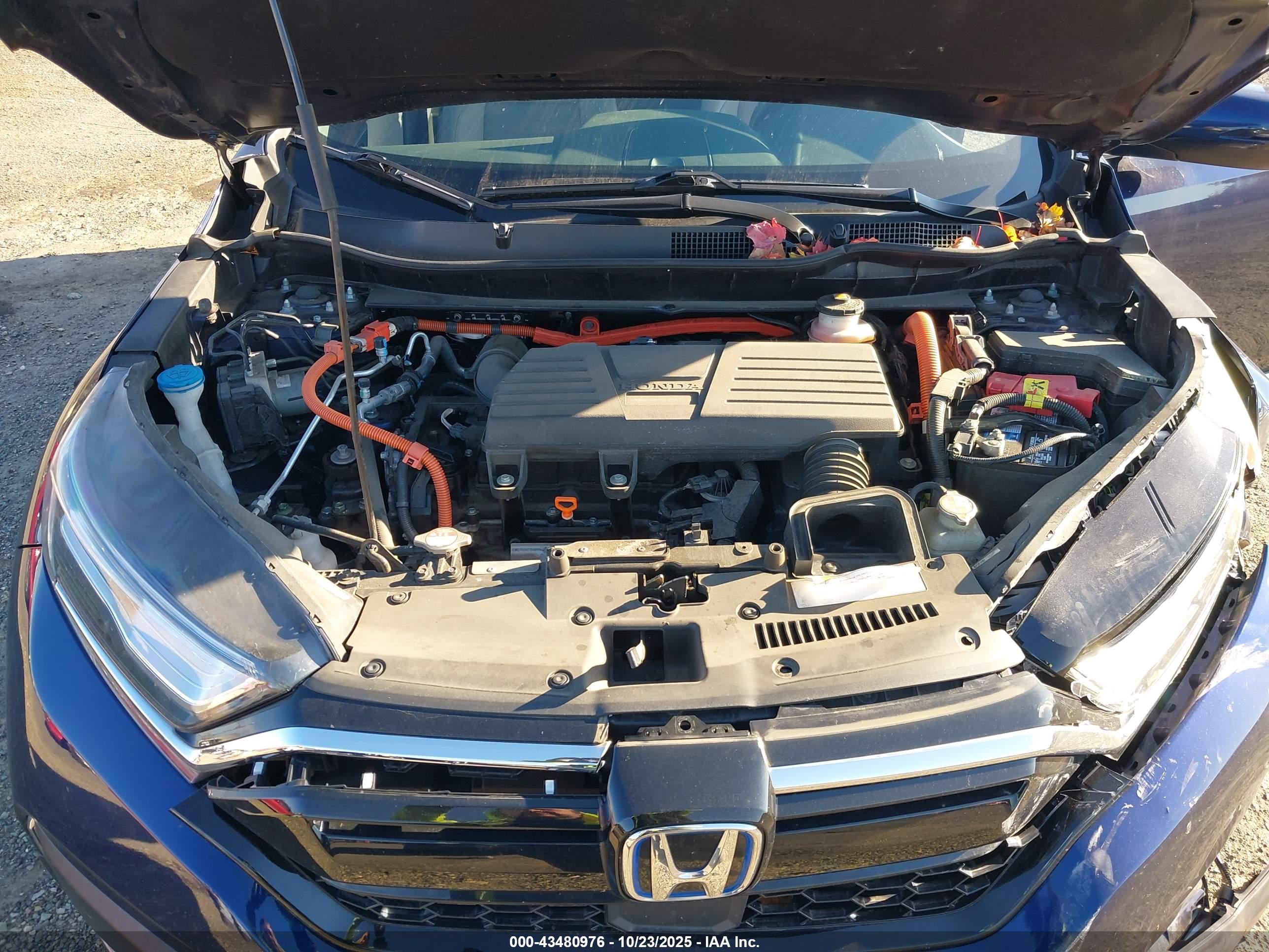 HONDA CR-V image 10