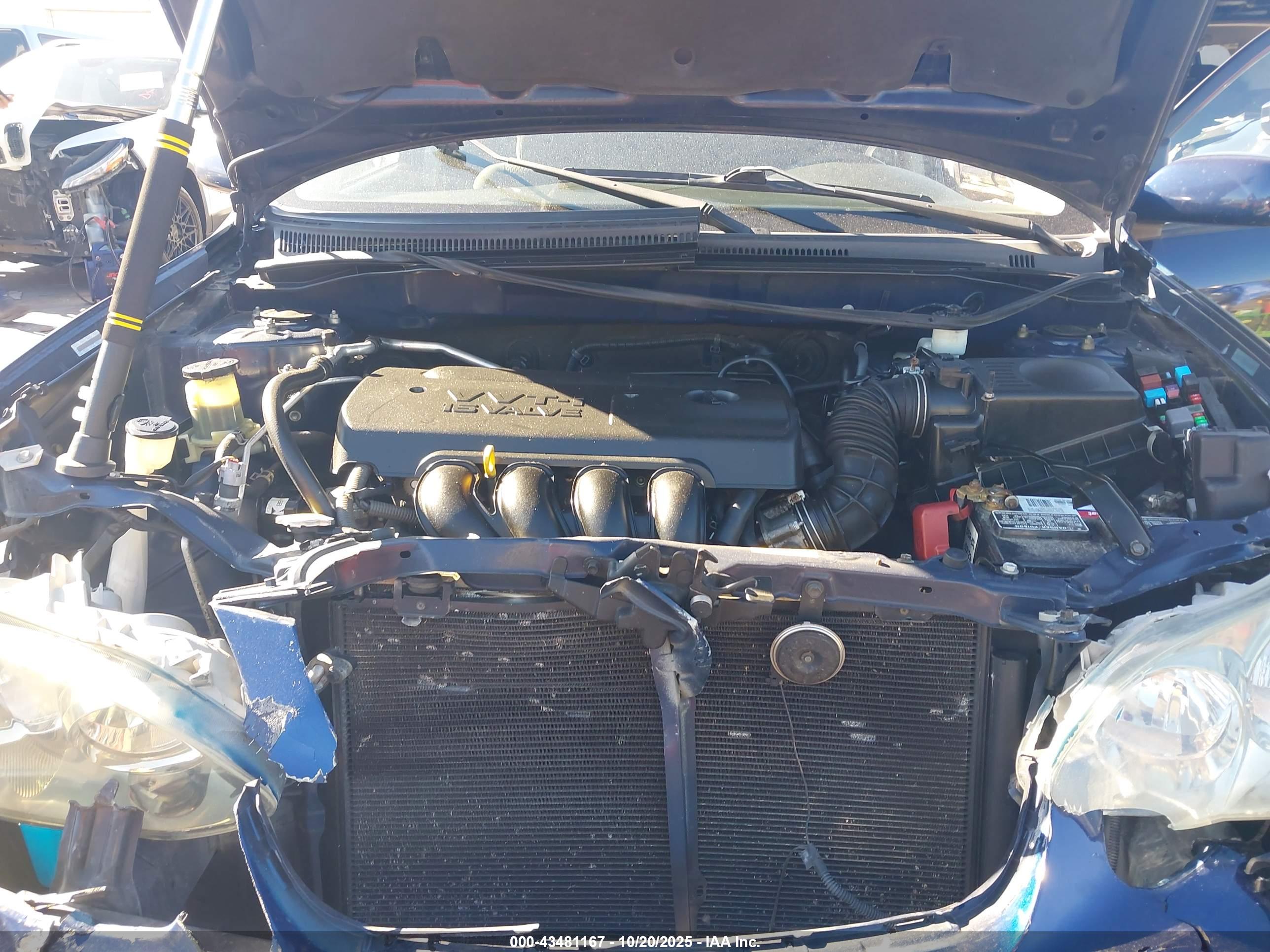 TOYOTA COROLLA image 10