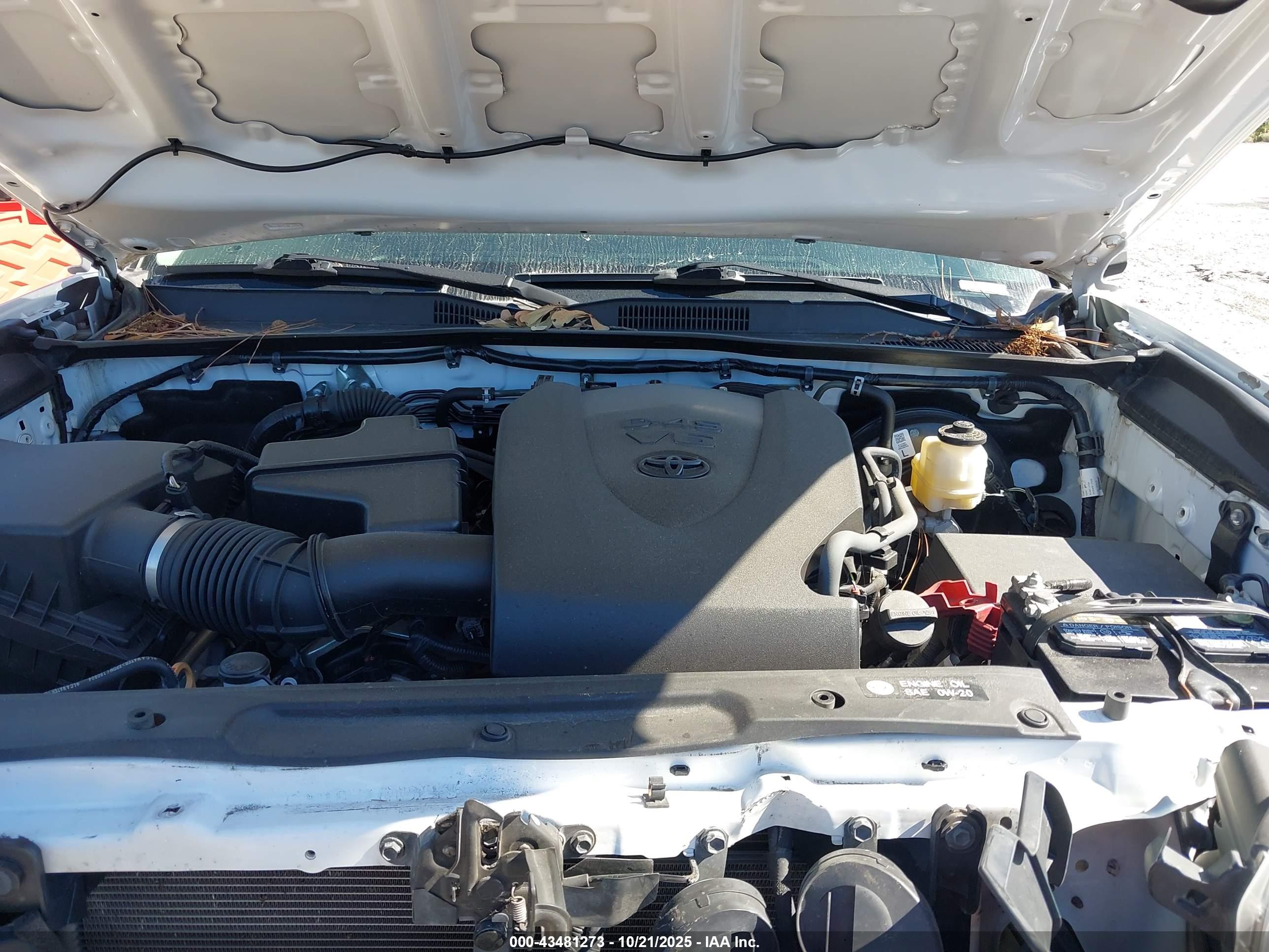 TOYOTA TACOMA image 10