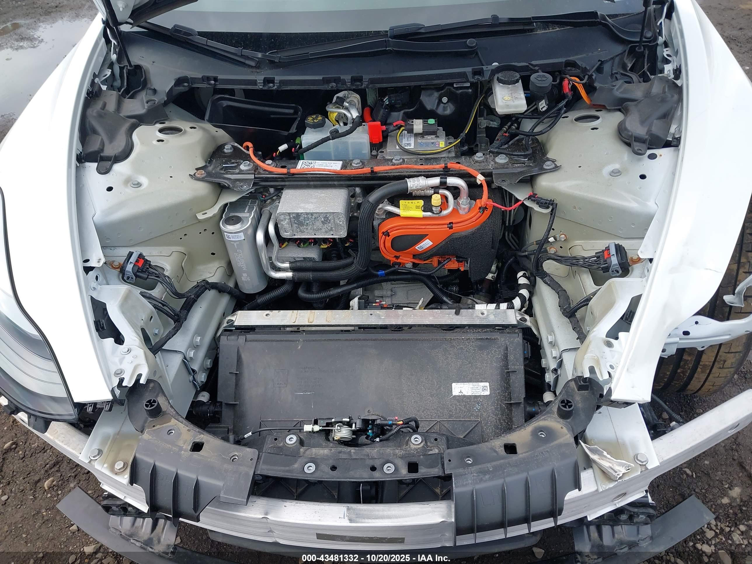 TESLA MODEL image 10