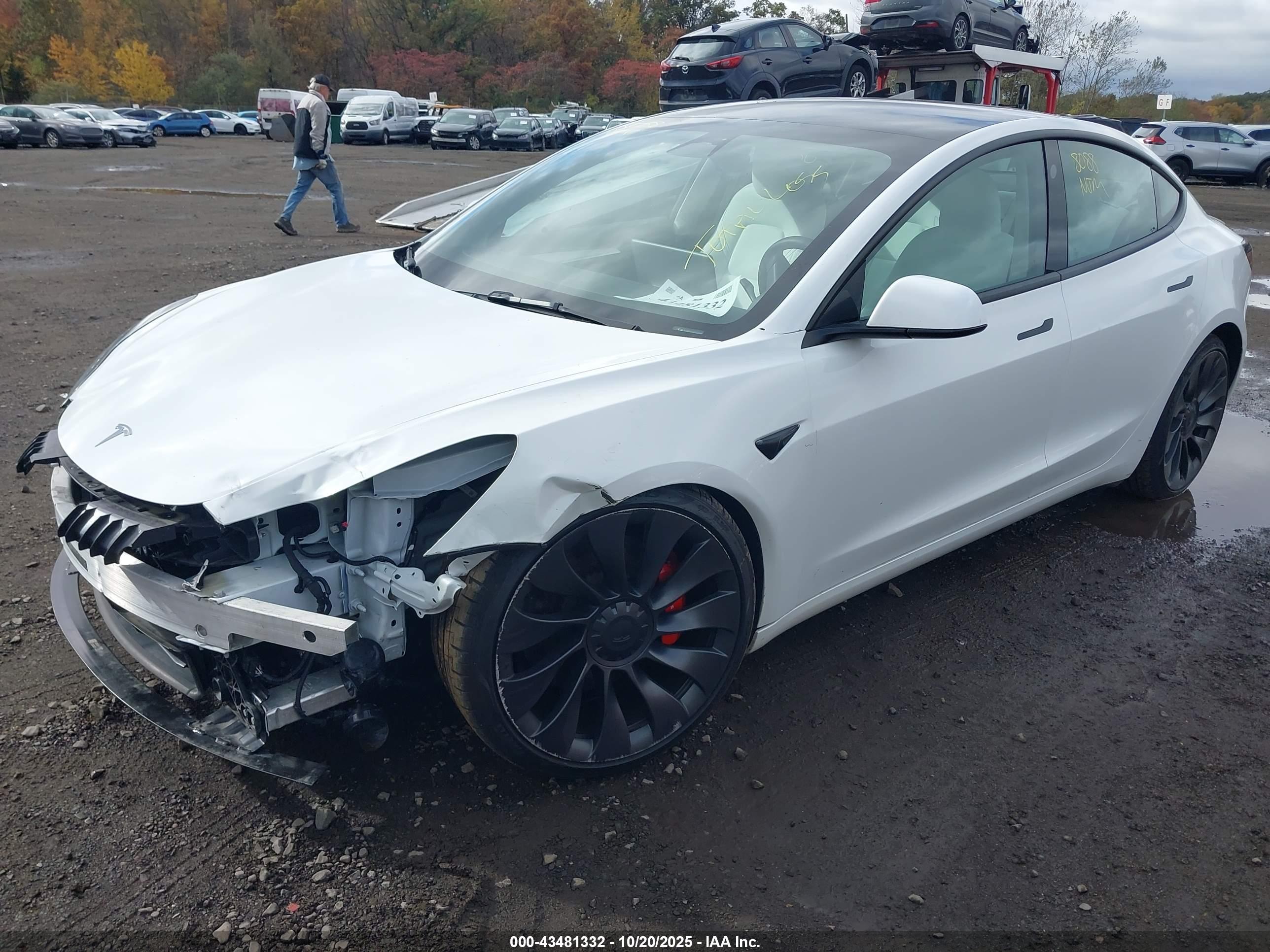 TESLA MODEL image 6
