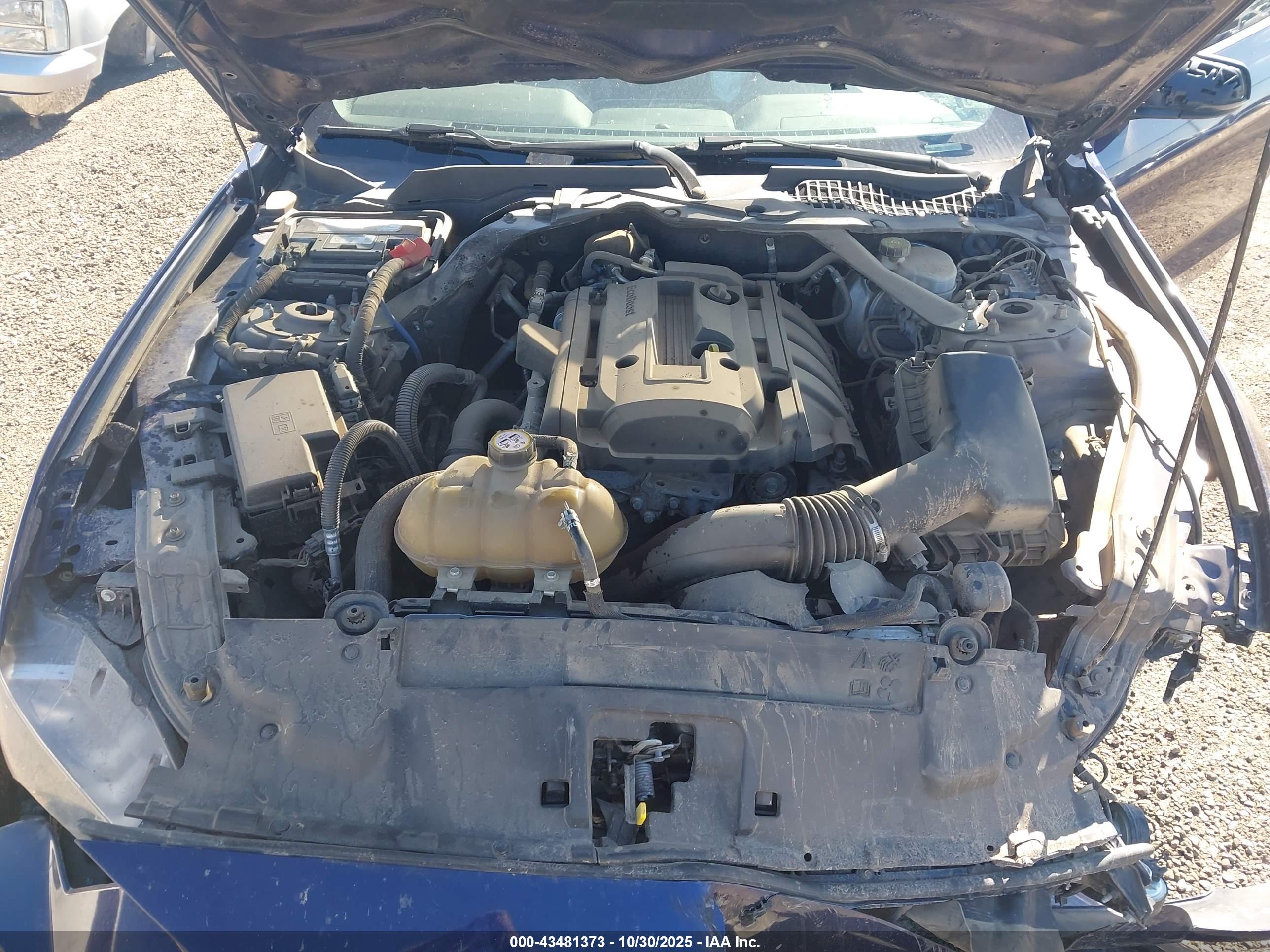 FORD MUSTANG image 10