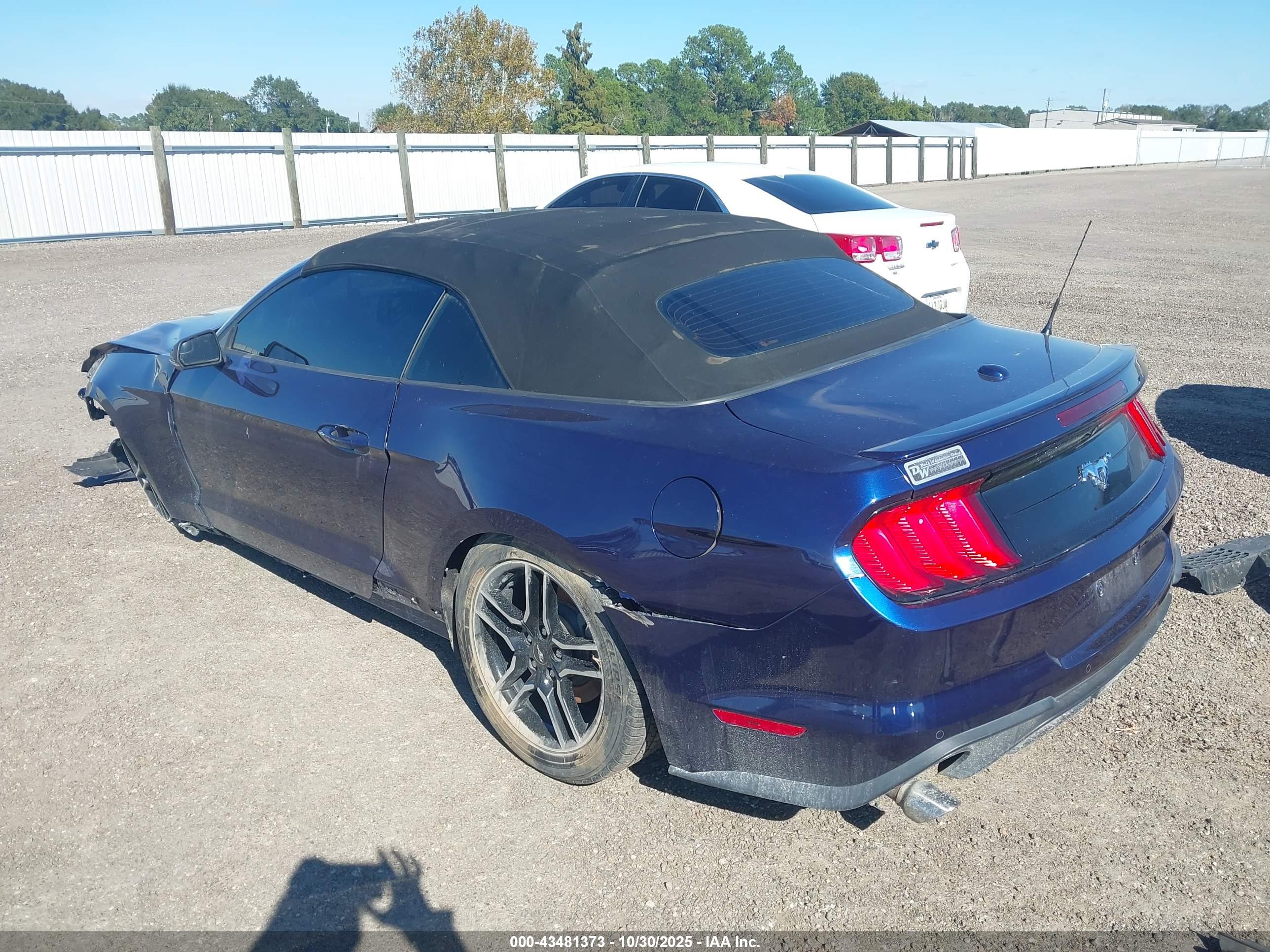 FORD MUSTANG image 3