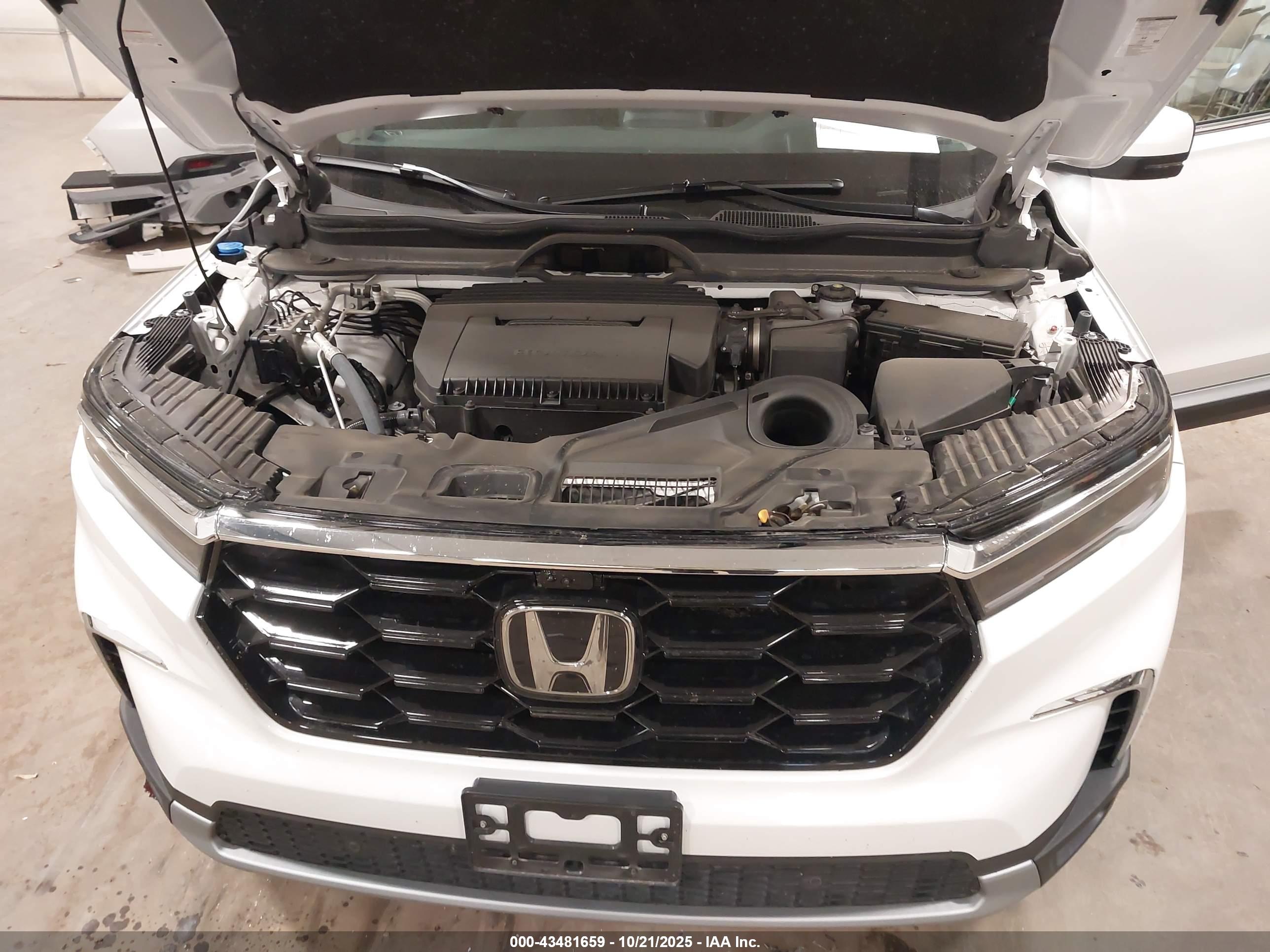 HONDA PILOT image 10